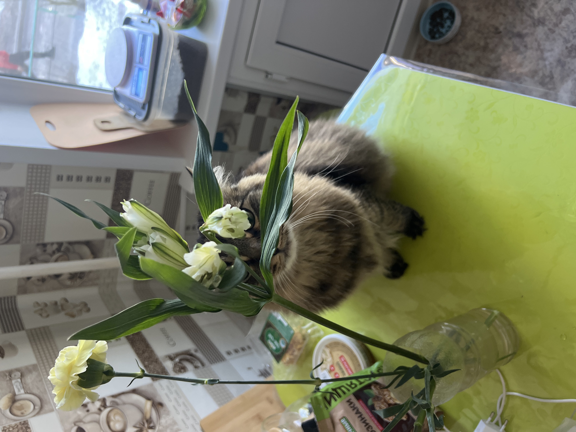 A domestic, brown and black tabby cat is lying on a table with a light green surface in an indoor setting. The cat is partially obscured by a vase filled with white and yellow flowers, some leaves of which appear to be touching its face. Behind the cat and flowers, on the table, are several food packages and a turned over water bottle. In the background, on a window sill, is a digital kitchen scale. Outside the window, it appears to be a snowy day, suggesting the picture may have been taken in a colder climate. Given the request to include the location, the image is presumed to be from Chaikovsky, Russia.
