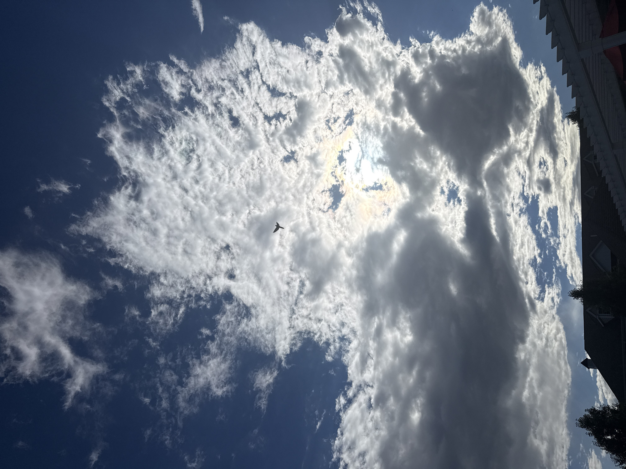 A wide-angle, upward-facing shot shows a dramatic sky over Allen Township, USA. Dark, heavy clouds dominate the lower half of the frame, contrasting with bright white, wispy clouds higher up. A small airplane is silhouetted against a bright patch of sunlight in the upper middle of the image. The sun's rays are visible, creating a lens flare effect. At the bottom of the frame, the roof of a house, trees, and a white pergola are visible.