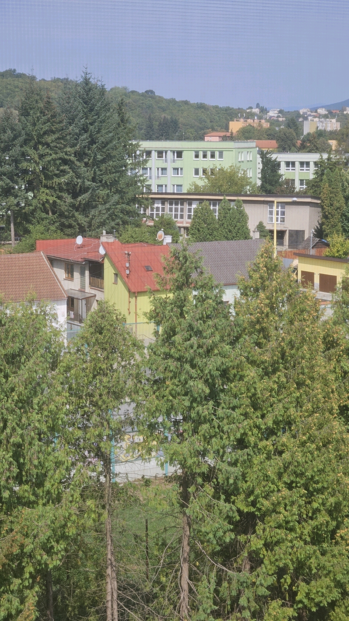The image depicts a residential area with several buildings and abundant trees. In the foreground, dense evergreen trees obscure the view of some houses. Behind them, a few houses with red and yellow roofs are visible, some with satellite dishes on their roofs. Further in the background, larger, multi-story buildings with green and light-colored facades stand out, featuring numerous windows. The overall scene suggests a suburban or urban environment with a significant amount of greenery. The buildings appear to be residential or institutional, likely part of a larger complex. The sky is clear and light blue.
