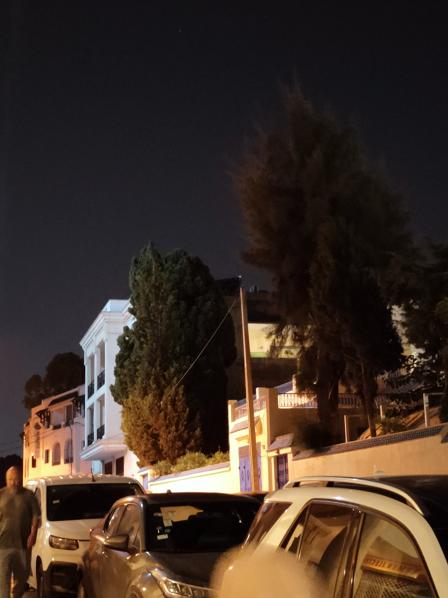 This image captures a night scene on a street in Tunis, Tunisia. A man, appearing to be middle-aged and bald, walks from left to right in the foreground. He is wearing a dark grey t-shirt and light grey pants. In the middle ground, several cars are parked along the street. The most prominent vehicle is a white van, which appears to be a passenger or cargo van. To the right of the white van is a dark-colored car, partially visible. Behind the parked cars, there are several buildings. The building on the left appears to be a multi-story structure with white walls and balconies. Further back, a large tree with dark foliage dominates the right side of the frame. The sky above is dark, indicating nighttime. The overall impression is a quiet street scene with buildings, vehicles, and a solitary pedestrian.