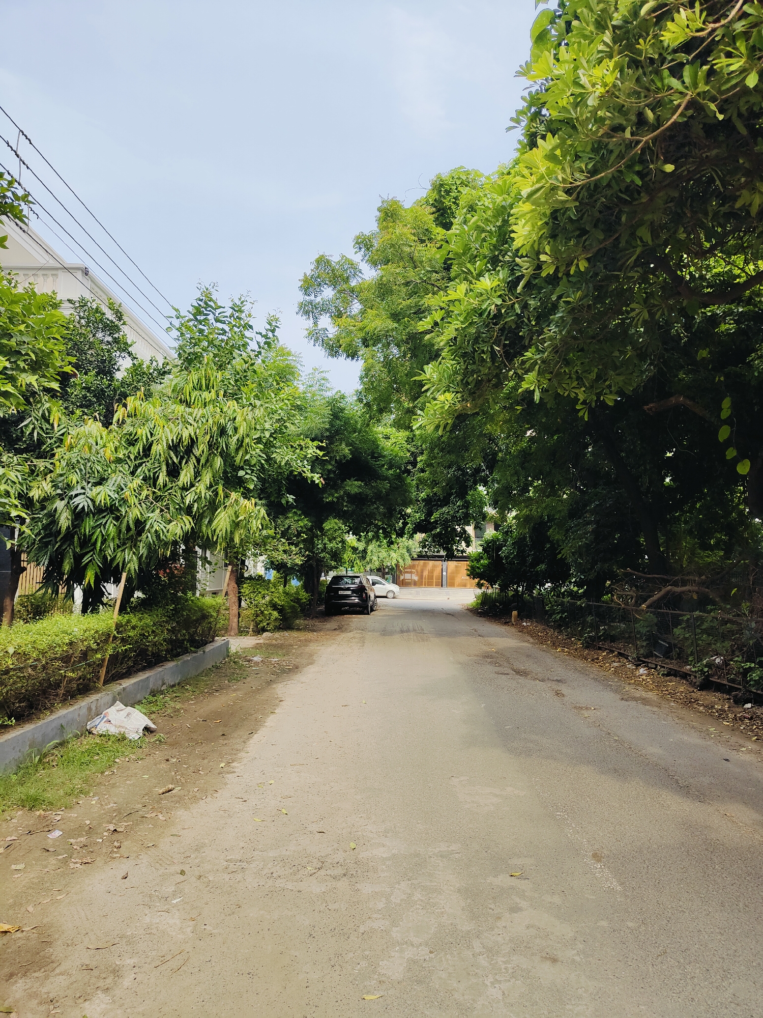 The image depicts a tree-lined paved road in Gurgaon, India. The road appears to be a residential street, with houses and lush green trees on either side. In the foreground, a white plastic bag and some dry leaves are scattered on the side of the road. Further down the road, two cars are parked, one black and one white. The black car is closer to the viewer and appears to be a sedan. The white car is parked behind it. The trees are dense and leafy, with some of them arching over the road, creating a canopy effect. The sky is visible through the gaps in the trees and appears to be partly cloudy. The overall impression is one of a quiet, green suburban street.