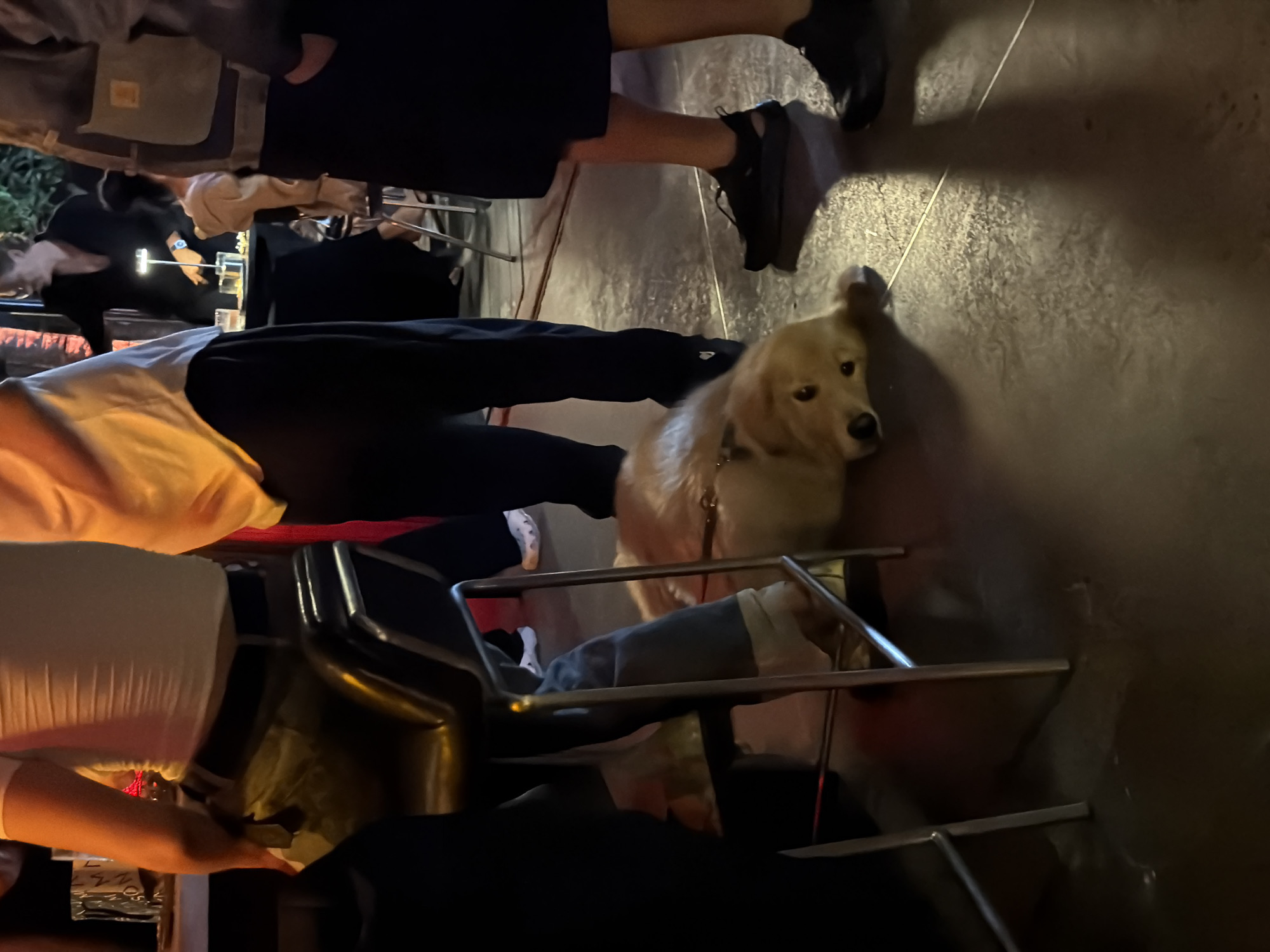 The image shows a dog sitting next to several people who appear to be gathered around a table or in an outdoor seating area. The dog, a golden retriever, is looking towards the camera with its head tilted. The people are partially visible, with their legs and torsos in the frame. They are dressed casually. The setting appears to be an outdoor patio or restaurant area, with concrete flooring and some metal furniture. Shadows suggest it might be evening or late afternoon. There are no clear indications of weather conditions. The overall mood seems relaxed, with the dog being the central focus of the shot. There is no visible text in the image.