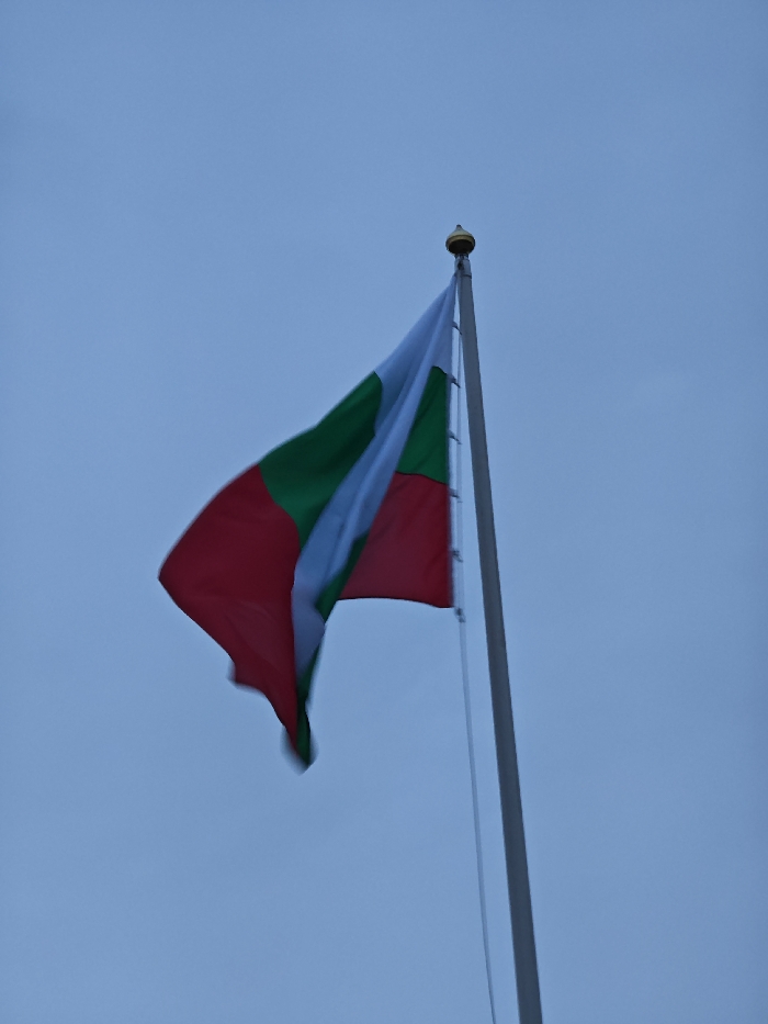 The image displays the national flag of Bulgaria, featuring horizontal stripes of green, white, and red from top to bottom. The flag is attached to a vertical, light-colored flagpole, which is topped with a spherical golden finial. The flag is unfurled and appears in motion, with visible blur, suggesting wind activity. The background consists solely of an overcast, light blue-grey sky. No other subjects or environmental features are present. The scene is located in Shumen, Bulgaria.
