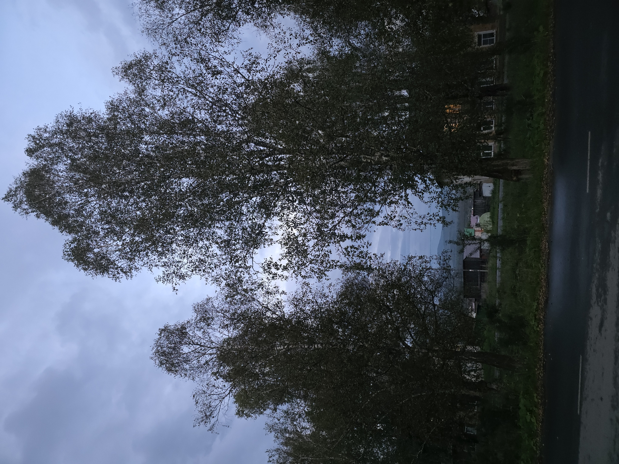 This is a vertical, eye-level, full-shot photograph taken at dusk in the city of Magnitka, Russia. The image depicts a tree-lined road in front of a village. In the foreground, the wet asphalt road with a white line on its left side is visible. Behind the road, a strip of green grass and foliage extends to a row of houses. Several tall birch trees with sparse foliage dominate the middle ground, their white trunks contrasting with the darkening sky and their dark leaves obscuring parts of the village. The village structures are mostly low-rise buildings, some with lit windows suggesting indoor activity. The sky is overcast with scattered clouds, and the overall lighting indicates early evening or twilight. The scene conveys a quiet, rural atmosphere typical of a Russian village.