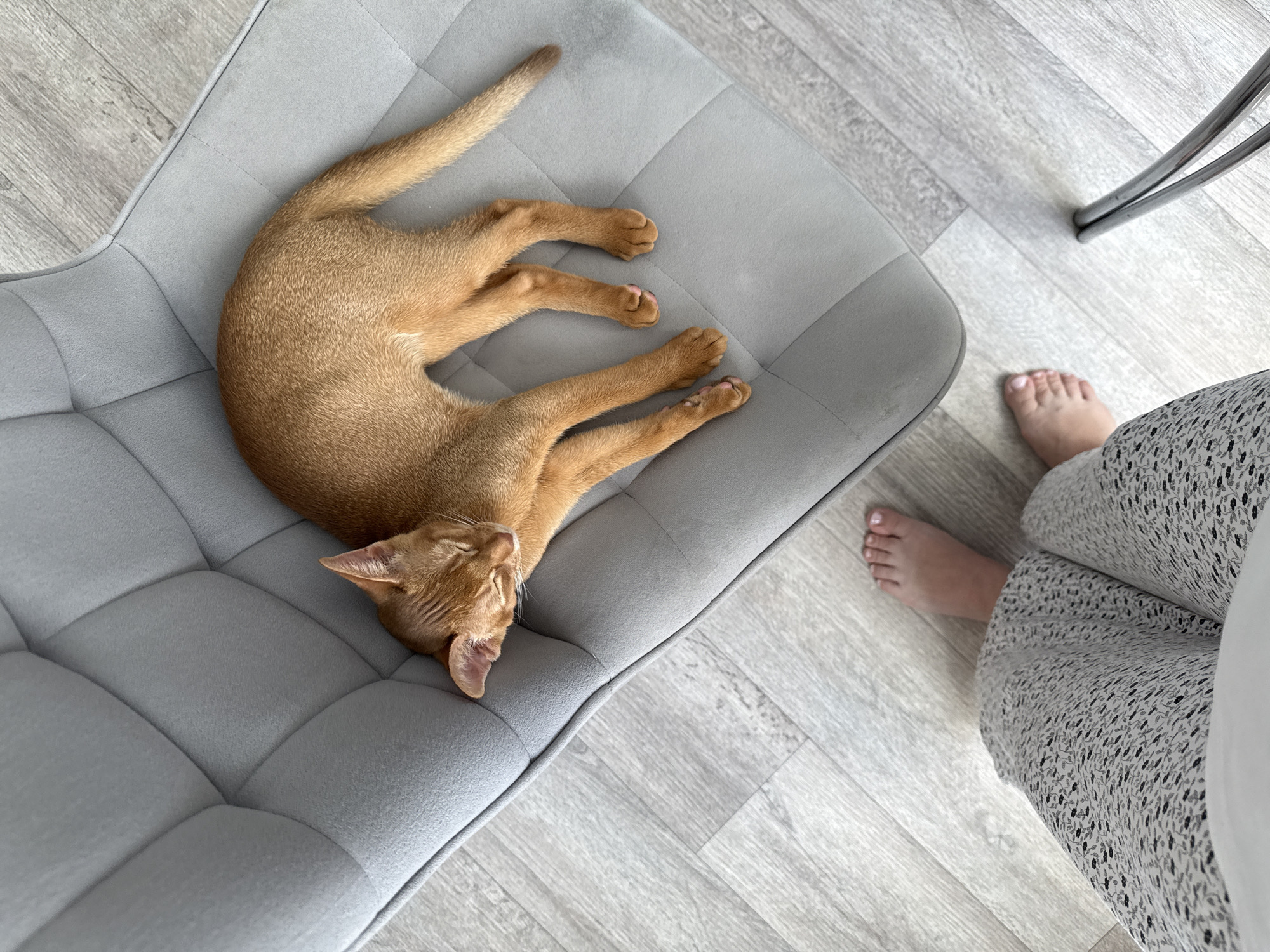 A ginger cat is sleeping soundly on a gray upholstered chair. The cat is curled up on its side, with its eyes closed and its paws tucked in. Its fur is a warm ginger color, and its tail is extended. The chair is modern and has a tufted design. The floor is light-colored wood planking. To the right of the chair, a person's bare feet are visible, as well as the bottom of their patterned pants. The scene appears to be indoors, likely in a home. The lighting suggests it is daytime, possibly late morning or afternoon. There is no visible text in the image.