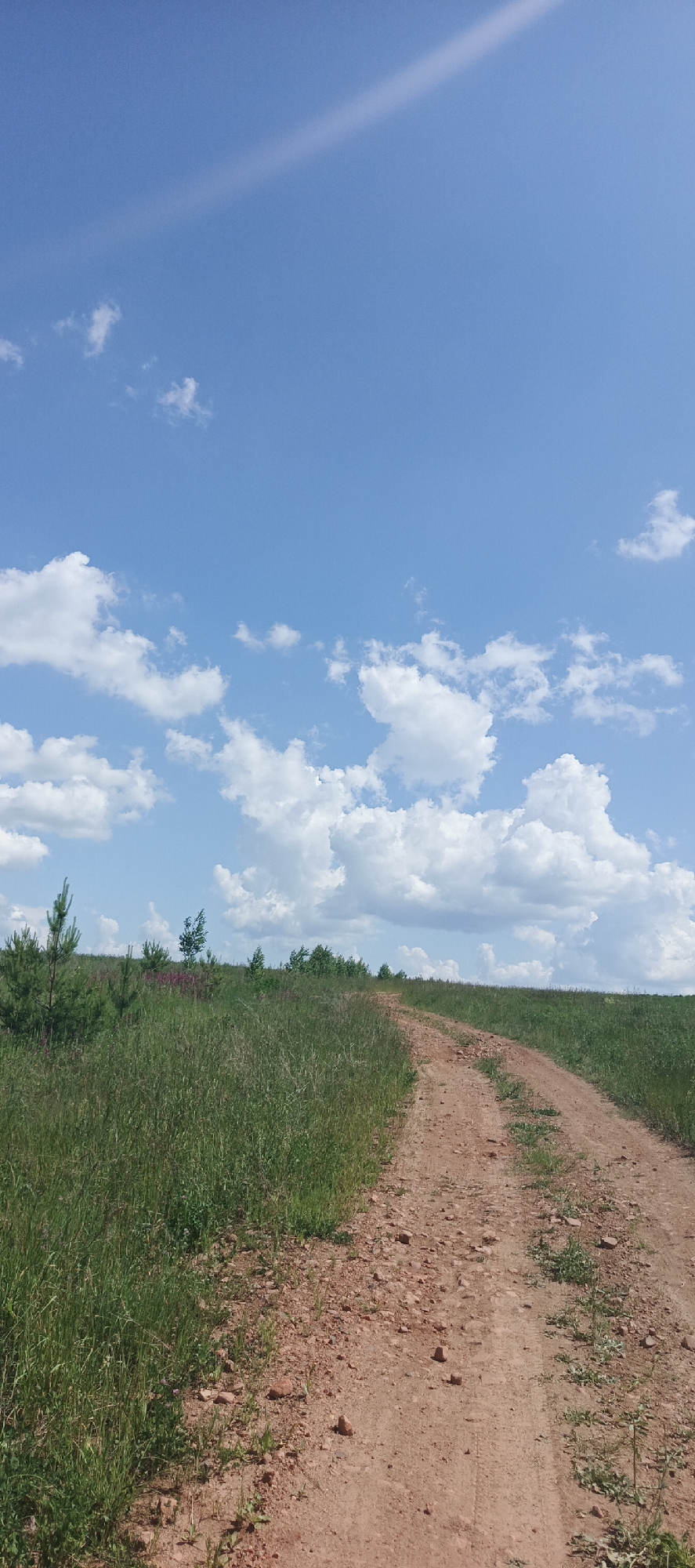 A dirt road curves through a grassy field under a bright blue sky with scattered white clouds. The road is reddish-brown and appears to be made of packed dirt and small stones. The field is covered in tall green grass with some scattered wildflowers. In the distance, a line of trees and smaller bushes can be seen along the horizon. The scene is peaceful and rural, suggesting a location in the countryside. Specifically, this image captures a rural road in the vicinity of Bol'shoi Bukor, Russia, characterized by its natural landscape of fields and sky. There are no people or structures immediately visible in the image.