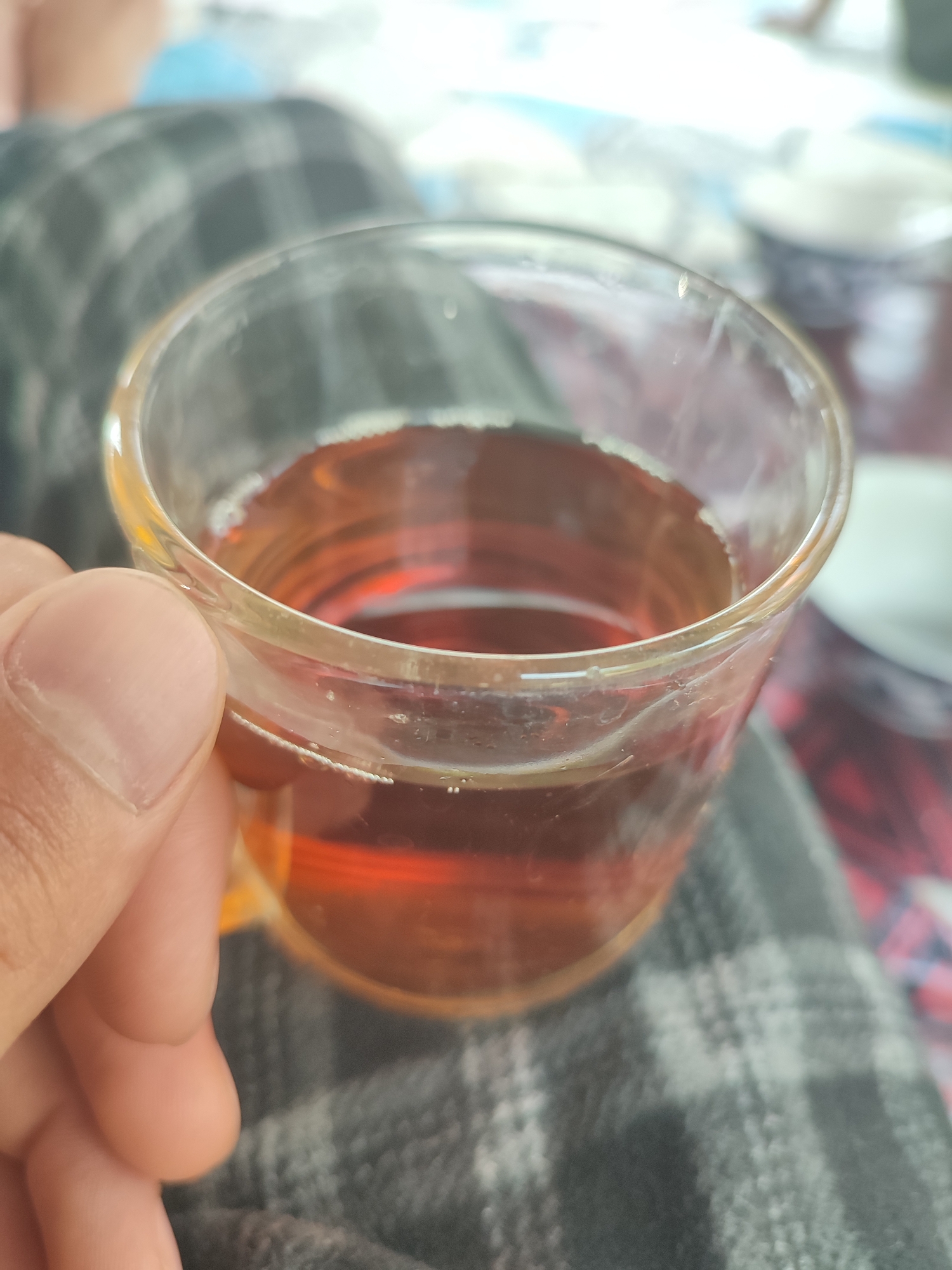 A close-up shot focuses on a hand holding a clear glass filled with a reddish-brown liquid, likely tea. The glass has a slightly thicker rim. The liquid has a few small bubbles at the surface. The background is blurred but appears to be an indoor setting with a checkered pattern on fabric, possibly a blanket or clothing, and hints of other objects like bowls. There is no visible indication of the city of Aligalabon, Tajikistan, or any specific urban environment. The image composition is tight on the hand and the glass.