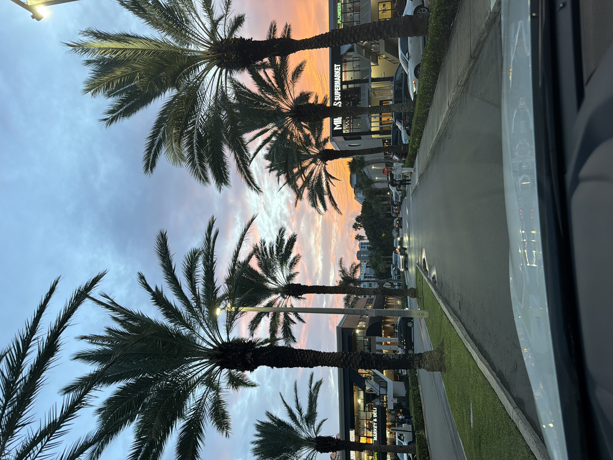 A medium shot captures a street scene in Sunny Isles Beach, Florida, USA, at dusk. Tall palm trees line both sides of the asphalt road, their fronds silhouetted against a sky ablaze with orange and pink hues, indicative of a sunset. The sky transitions to a soft blue as it moves higher, with scattered clouds contributing to the vibrant display.
On the left side of the street, a modern commercial building houses businesses such as "Miln's Supermarket" and "Flowers." A sidewalk runs in front of the building, with a few individuals visible, one appearing to be walking and another standing. Cars are parked along the curb and driving on the road.
On the right side of the street, another commercial building is visible, also featuring storefronts. Several cars are parked and driving along this side as well. The street is well-lit by streetlights positioned between the palm trees. The overall atmosphere is that of a bustling urban environment transitioning into the evening, with a beautiful natural sky providing a dramatic backdrop. The image is taken from inside a vehicle, with the dashboard and windshield frame visible in the foreground, suggesting a first-person perspective of someone driving or parked on the street.