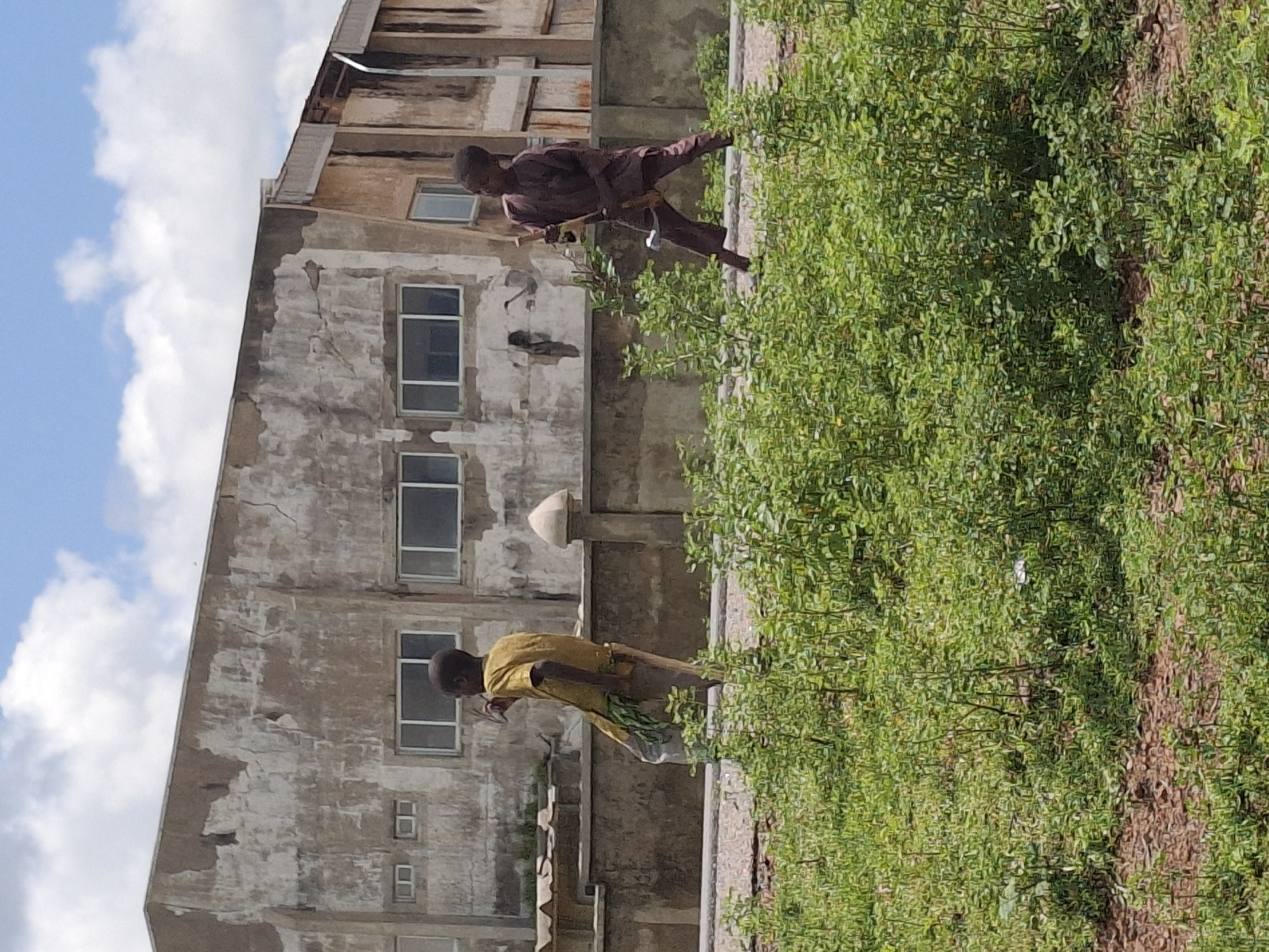 The image depicts an outdoor scene in Kumo, Nigeria, with a focus on two young boys in the foreground and a derelict building in the background. In the middle ground, a boy in a yellow shirt and grey trousers stands facing left, holding what appears to be a stick or tool. He has leafy greens tucked into his trousers. To his right, another boy in a dark brown outfit is positioned, holding a wooden tool with a metal component, possibly a hoe or a similar implement, with his right arm raised. Both boys are standing on a paved surface with dense green foliage in front of them. The building behind them is aged and weathered, with visible cracks and peeling paint on its concrete facade. It features rows of windows, some of which are boarded up. The sky above is partly cloudy.