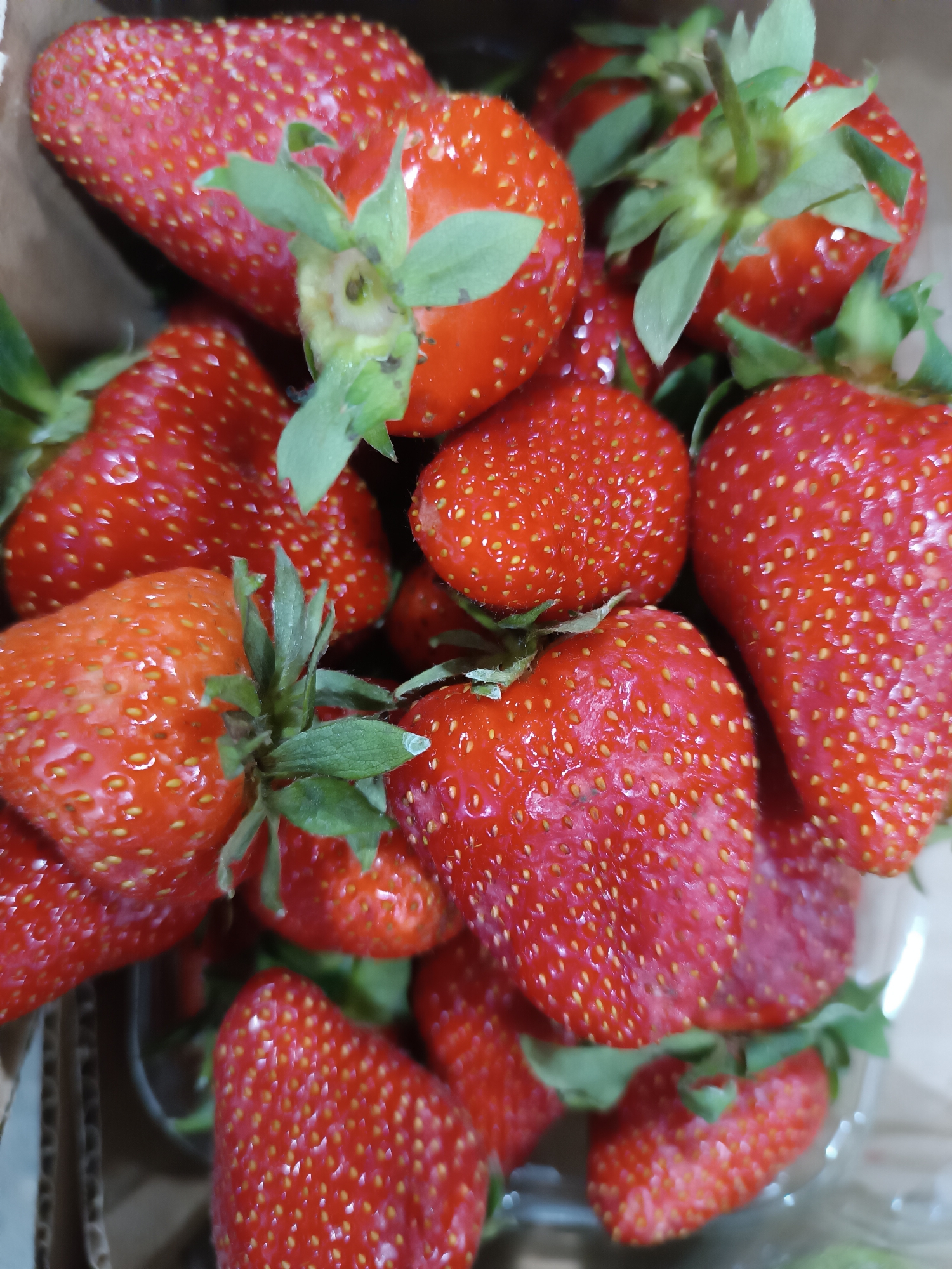 A close-up, eye-level shot depicts a cluster of fresh strawberries. The strawberries are bright red and appear plump and ripe, with tiny seeds dotting their surfaces. Some have green stems and leaves still attached. The strawberries are contained within a clear plastic container, which is in turn placed inside a brown cardboard box. The context implies the image was taken indoors, though there is no visible indication of the location being in Chaikovsky, Russia.