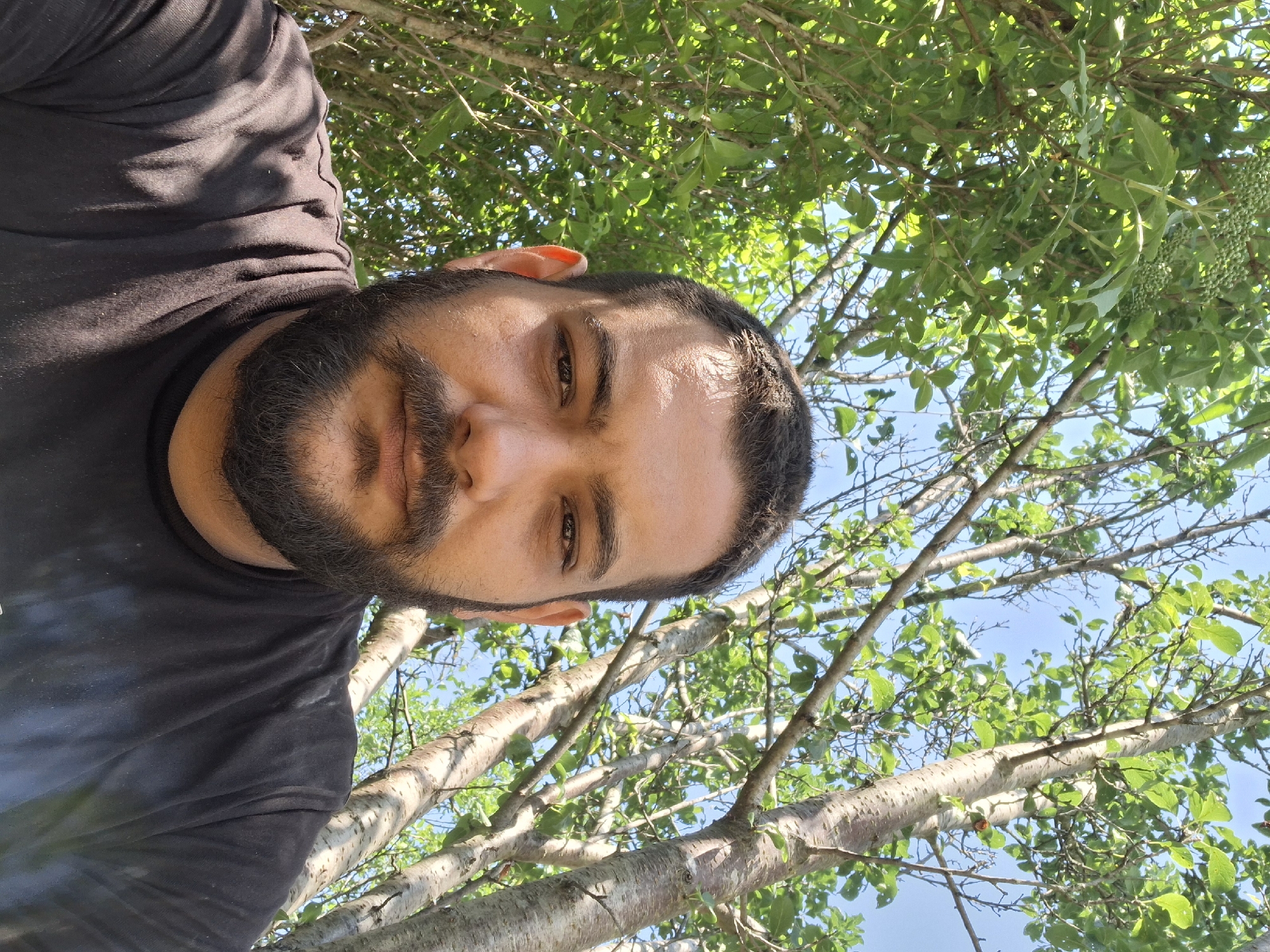 A close-up, outdoor, waist-up selfie features a man with a dark beard and short dark hair looking directly at the camera. He is wearing a black t-shirt. He is positioned in front of lush green foliage and tree trunks, with a clear blue sky visible through the branches. The scene appears to be a park or a garden area in Dolna Malina, Bulgaria.