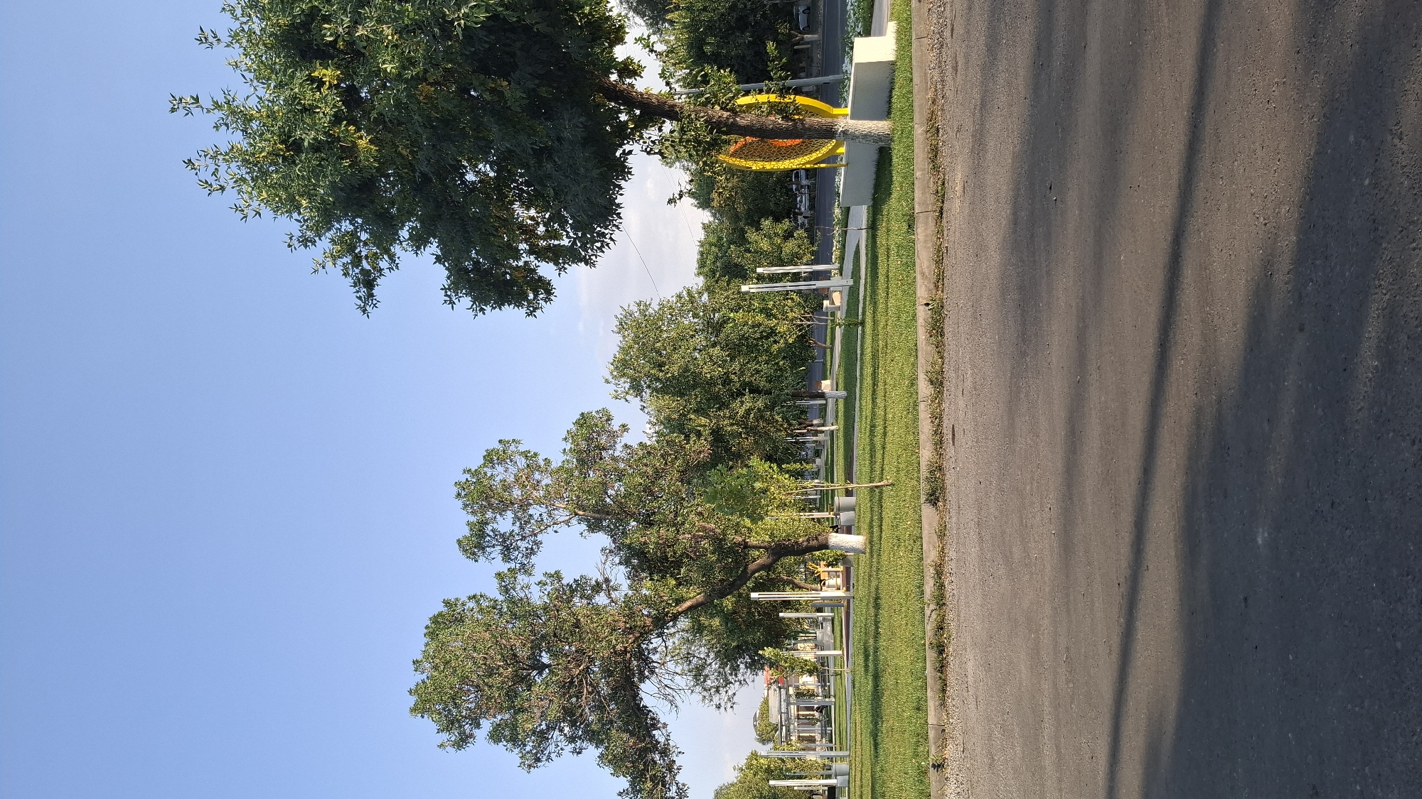 The image depicts a public park in the city of Shymkent, Kazakhstan, with a clear blue sky overhead. The foreground is dominated by a dark asphalt road with shadows cast across it, suggesting it is daytime. Beyond the road lies a well-maintained park area with lush green grass. Several trees are present throughout the park, varying in size and foliage. Some of the trees have white bases, indicating they might have been recently treated or are part of a landscaping design. In the background, there are white lampposts, suggesting the park is illuminated at night, and what appears to be a covered seating area or pavilion. To the right of the park, a bright yellow, circular art installation is visible, mounted on a concrete base. The overall scene conveys a sense of tranquility and public recreational space within an urban environment. No people are visible in the image.