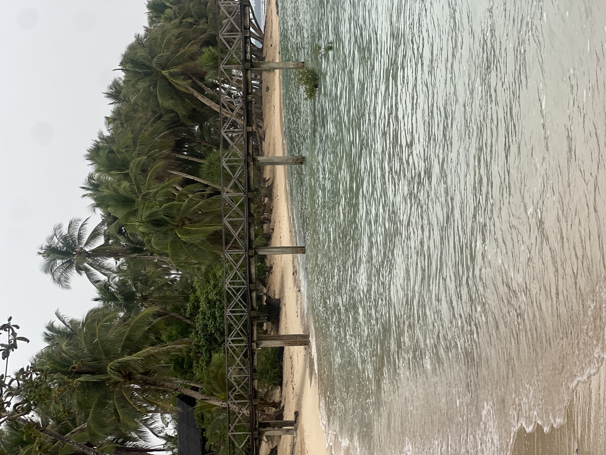 The image depicts a wooden pier extending over the shallow, clear ocean waters in General Luna, Philippines. The pier, supported by concrete pilings, features a lattice-like railing. On the sandy beach behind the pier, numerous palm trees of varying heights create a dense canopy, with a hint of a dark-roofed structure visible amongst the foliage. The water exhibits gentle ripples and small waves lapping at the shore. The sky is overcast, contributing to the muted lighting of the scene.
