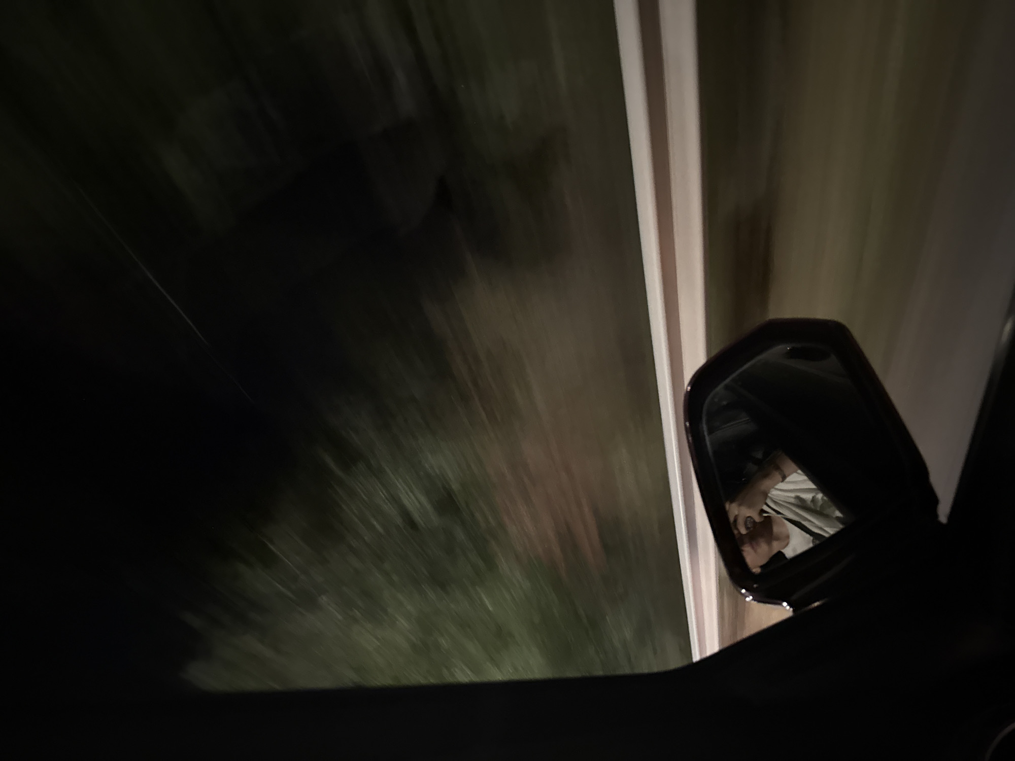 An image taken from inside a moving vehicle at night shows a person reflected in the side-view mirror. The person appears to be wearing a light-colored t-shirt and has their hand near their face. The background outside the vehicle is blurred due to motion, showing trees and a light-colored barrier along the road. The overall scene suggests a journey through a dark, possibly rural, or suburban area.