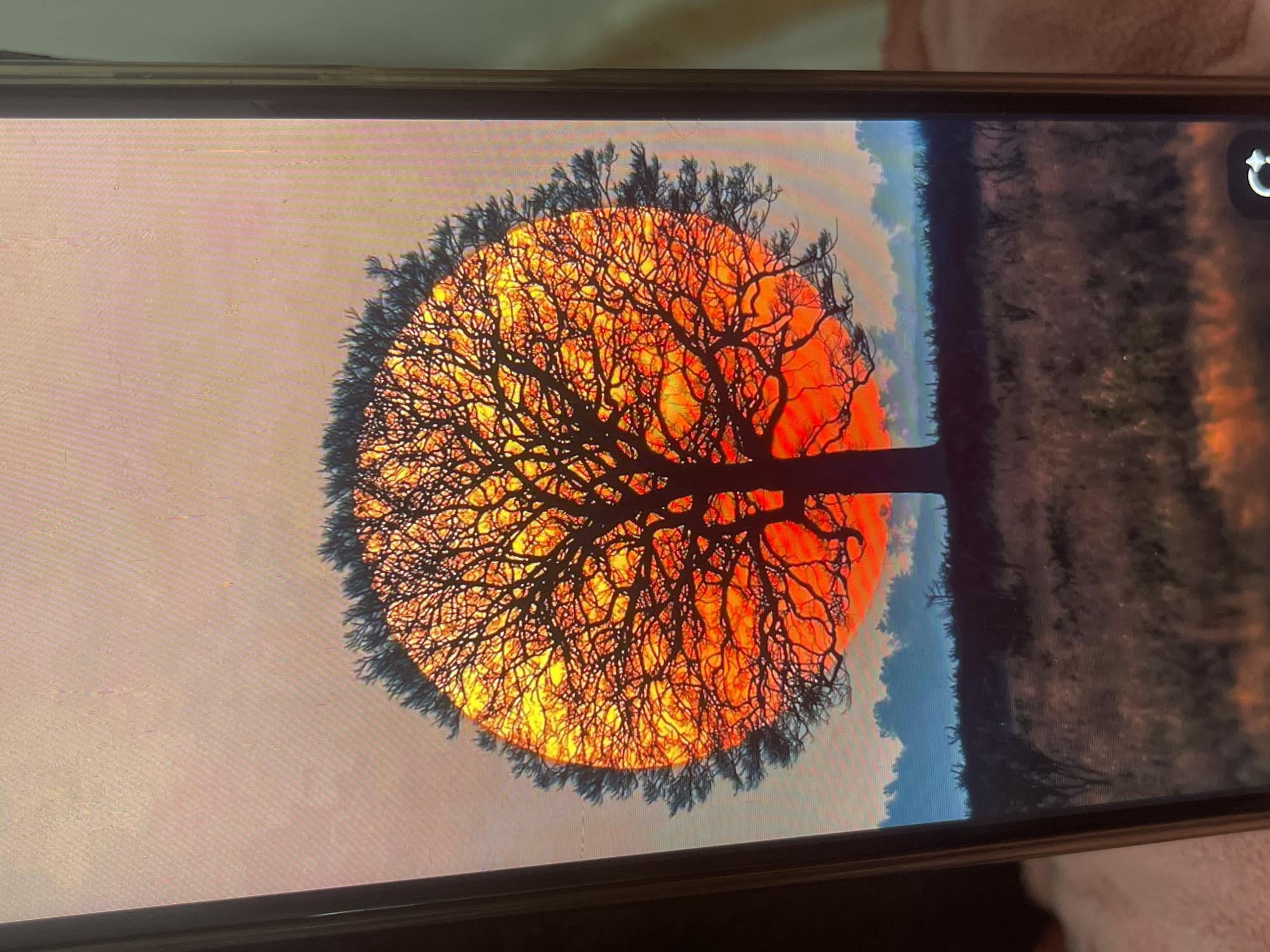 The image depicts a phone screen displaying a digital artwork of a silhouetted tree against a vibrant orange and red sun. The tree's branches are intricate and spread out, with the sun forming a circular backdrop that appears to be partially obscured by the tree's canopy. Below the tree, a dark landscape with silhouetted vegetation and distant, hazy blue shapes suggesting hills or trees can be seen. The sky above the sun is a soft, gradient of pink and orange. The phone itself is partially visible, with a textured screen protector and a dark bezel. The background behind the phone is out of focus and appears to be a light-colored, soft surface. There are no people or animals depicted in the artwork. The image quality is slightly pixelated due to being a photograph of a screen. There is no information within the image to suggest a location in Bishkek City, Kyrgyzstan.