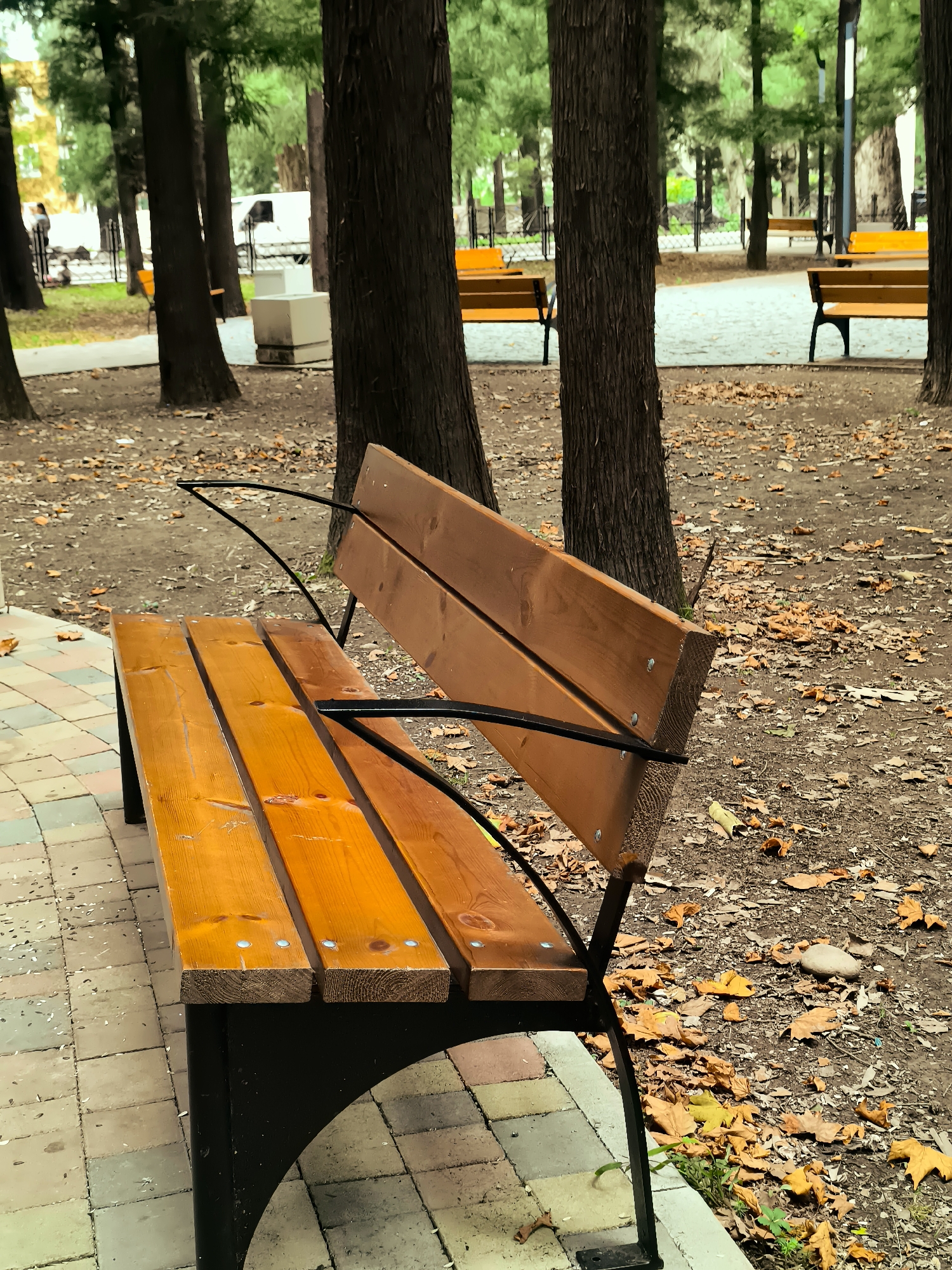 A wooden park bench with a black metal frame sits on a paved walkway in a park. The bench is empty and faces a path lined with trees. The ground around the bench is covered in fallen leaves, suggesting autumn. In the background, several other similar park benches are visible, as well as a white vehicle and some people walking in the distance. The scene appears to be in Batumi, Georgia, a coastal city known for its parks and greenery.