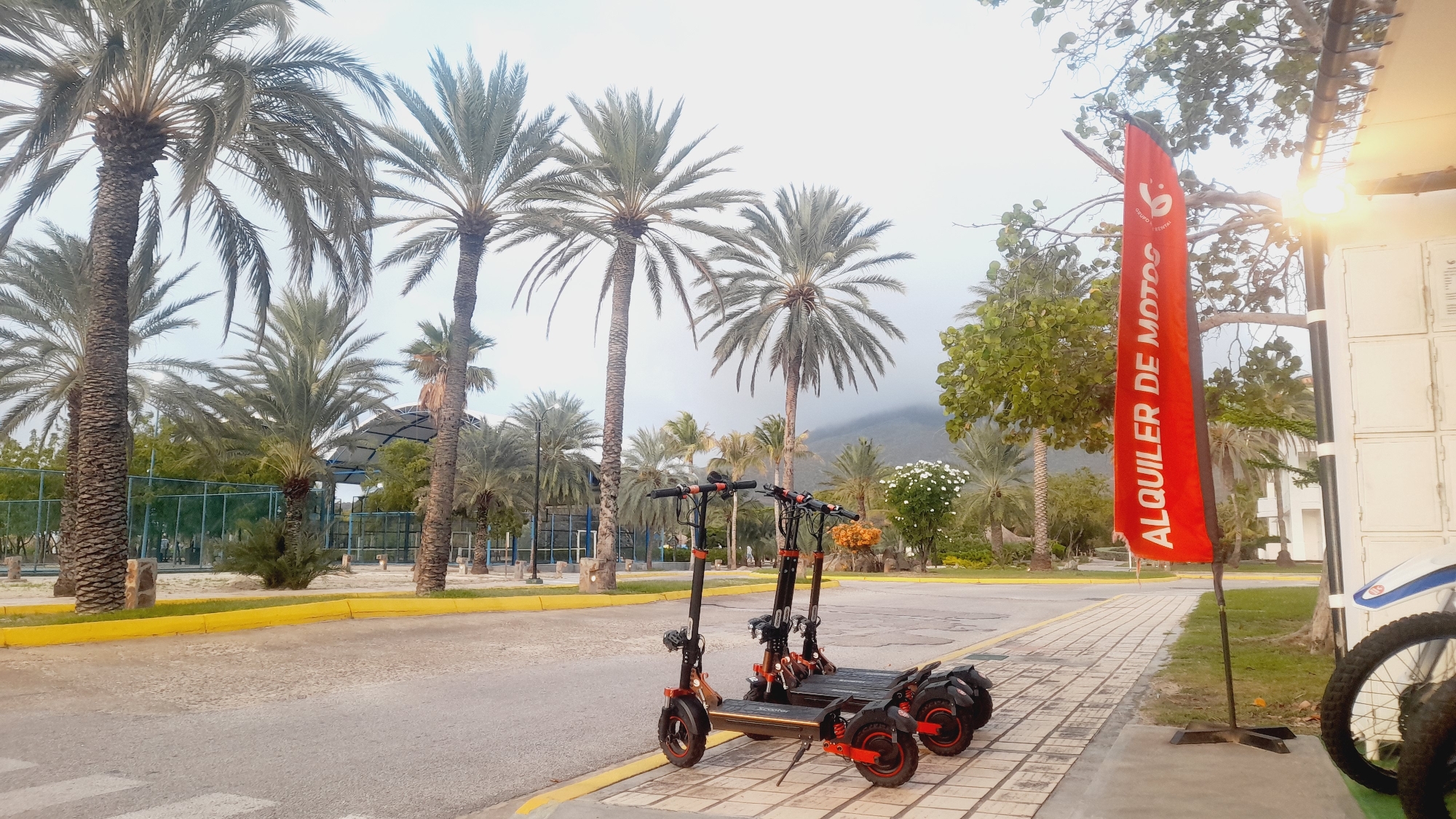 This image depicts a street scene in Pedro González, Venezuela, characterized by lush palm trees and a cloudy sky. In the foreground, two electric scooters are parked on a paved area next to a sidewalk. The scooters are black and red, with prominent wheels and handlebars. To the right of the scooters, a tall, red banner with white text reads "ALQUILER DE MOTOS," indicating a motorcycle rental service. Behind the scooters and banner, a row of palm trees dominates the background, with some smaller trees and foliage visible. Further back, a sports court with a fence is present, and a mountainous landscape is faintly visible through the overcast conditions. The environment suggests a tropical or subtropical climate.