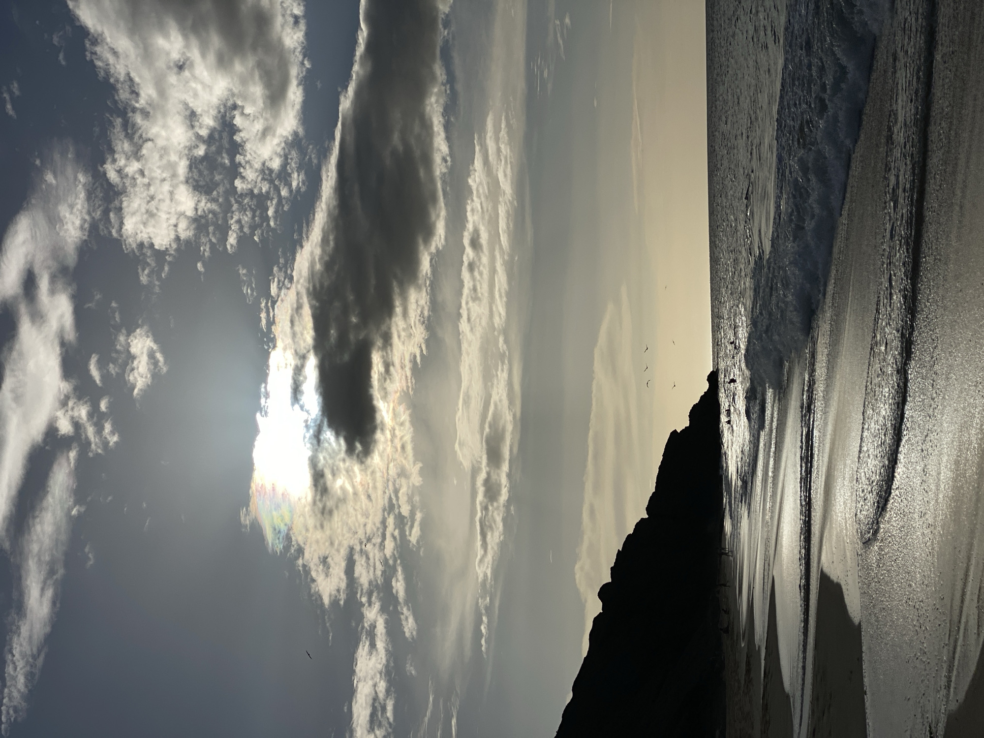 A silhouette of a dark, rocky incline occupies the left side of the frame, bordering a beach. Several small figures, appearing as dark specks, are scattered across the sand and in the shallow water along the shoreline. The ocean, with a series of small waves, stretches to the horizon under a sky filled with clouds. The sun is partially obscured by clouds, creating a bright, diffused light with hints of iridescence. Several birds are visible in flight, scattered across the sky. The scene appears to be a beach in Altagracia, Venezuela.