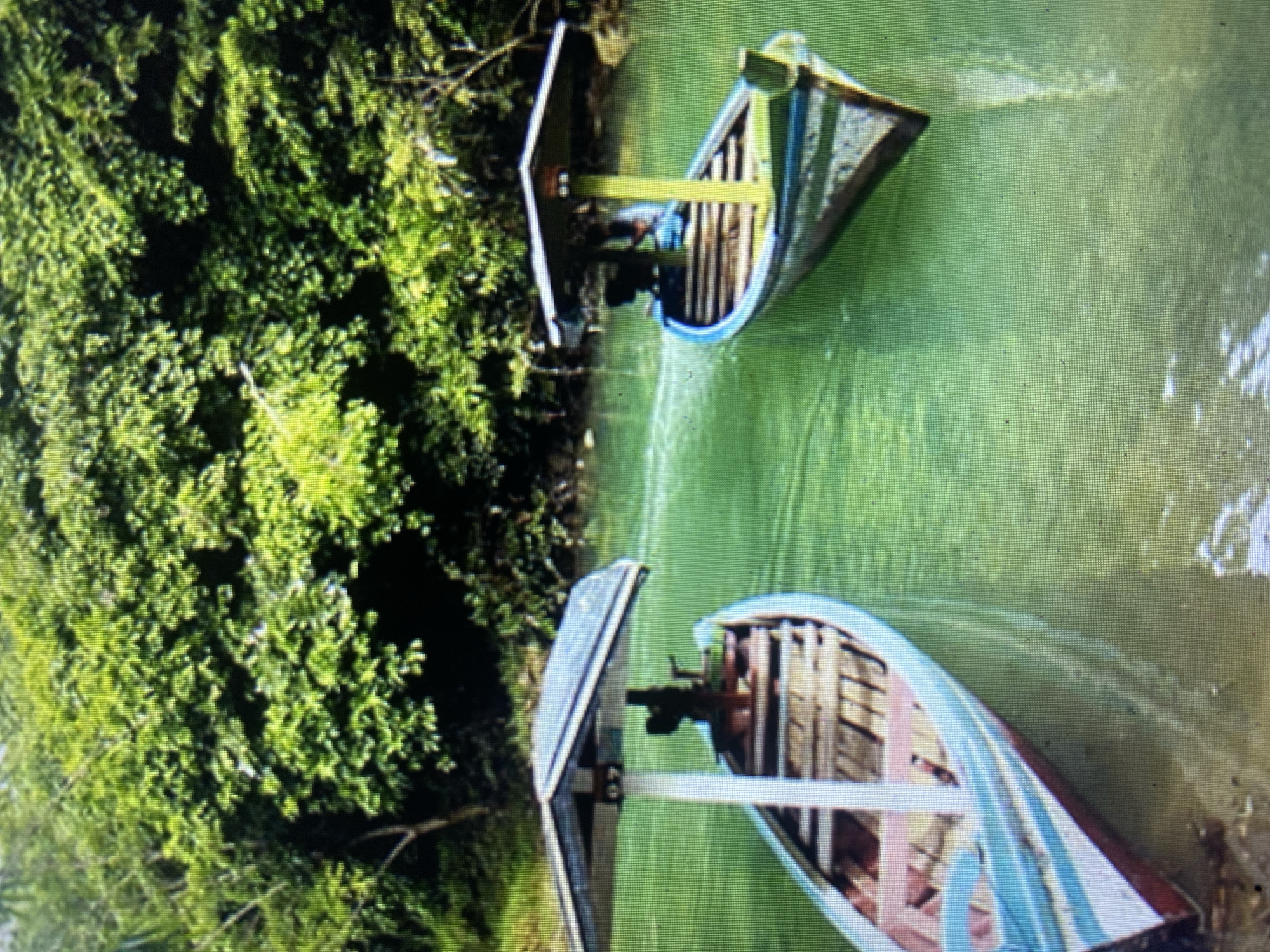 Two brightly colored wooden boats with canopies are floating on a calm, green body of water, likely a river or canal. The boats are equipped with wooden benches and appear to be designed for leisurely excursions. Lush, green foliage forms a dense backdrop behind the water, suggesting a tropical environment. The boat on the left is predominantly white and light blue with red accents, while the boat on the right displays white, blue, and green colors. The water is clear enough to show a sandy or muddy bottom near the edge where the left boat is positioned. The scene evokes a peaceful and scenic atmosphere characteristic of natural tourist destinations. The location is specified as Girijaya, Indonesia.