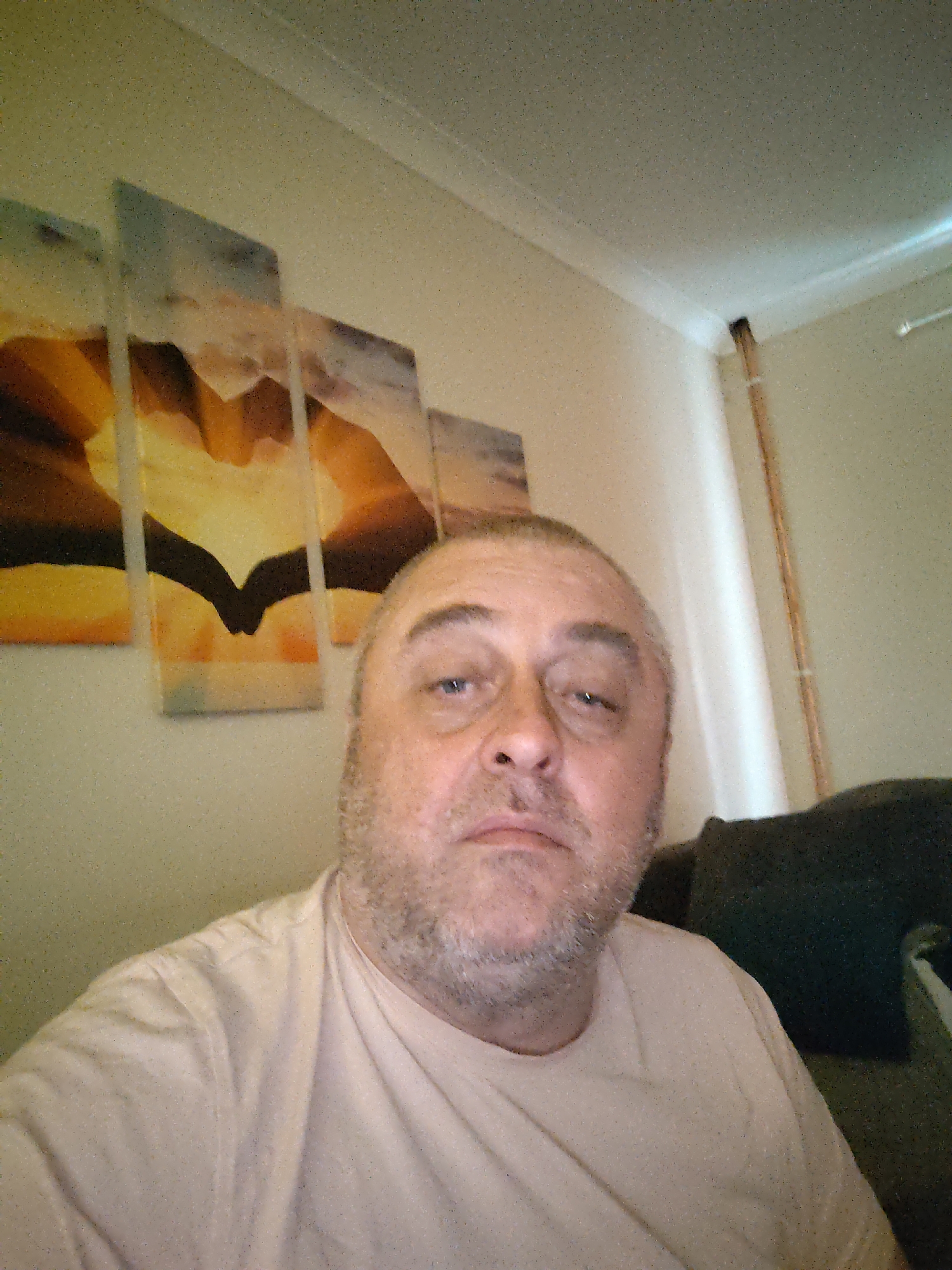 The image is a selfie taken by a man in what appears to be a domestic indoor setting. The man is middle-aged with a light complexion, stubble, and short greyish-brown hair. He is wearing a light-colored t-shirt. He is looking directly at the camera with a neutral expression.
In the background, there is a piece of multi-panel artwork on the wall. The artwork depicts a sunrise or sunset with a heart shape formed by hands or clouds. To the right of the artwork, there is a white wall with some trim and a wooden support or pipe visible. A dark object, possibly a sofa or chair, is partially visible in the lower right corner.
There are no identifiable landmarks or specific features that would indicate the exact location within Huntingdonshire, United Kingdom. The scene is generic and could be any residential interior.