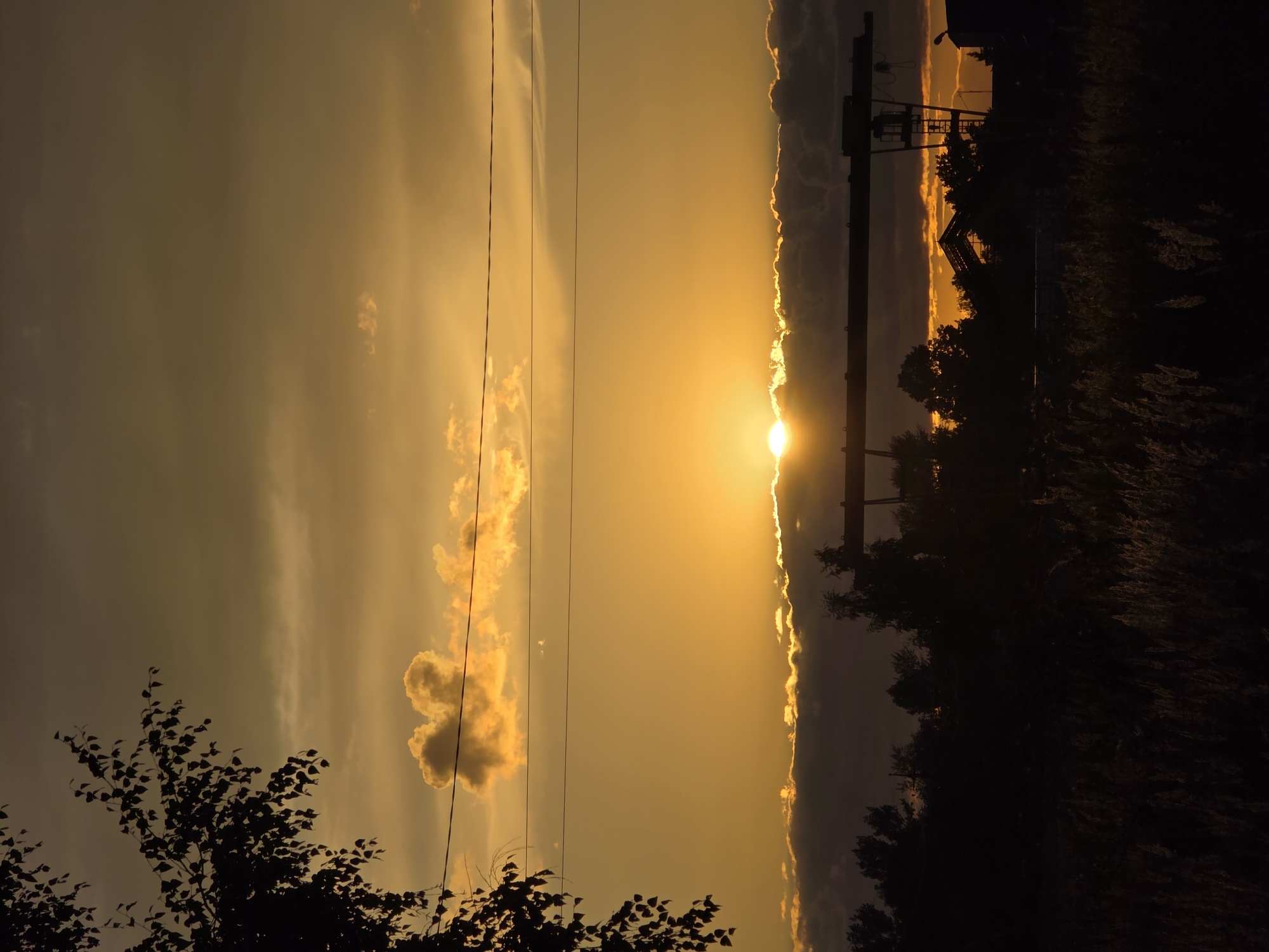 The image depicts a sunset with the sun partially obscured by clouds, casting a warm, golden glow across the sky. Silhouetted against the vibrant sky are trees and a large industrial crane, suggesting an urban or industrial setting. The foreground is filled with dark, tall grass or reeds, further enhancing the silhouette effect. The overall atmosphere is serene and dramatic, capturing the beauty of nature at dusk. The location is identified as Rechitsy, Russia.