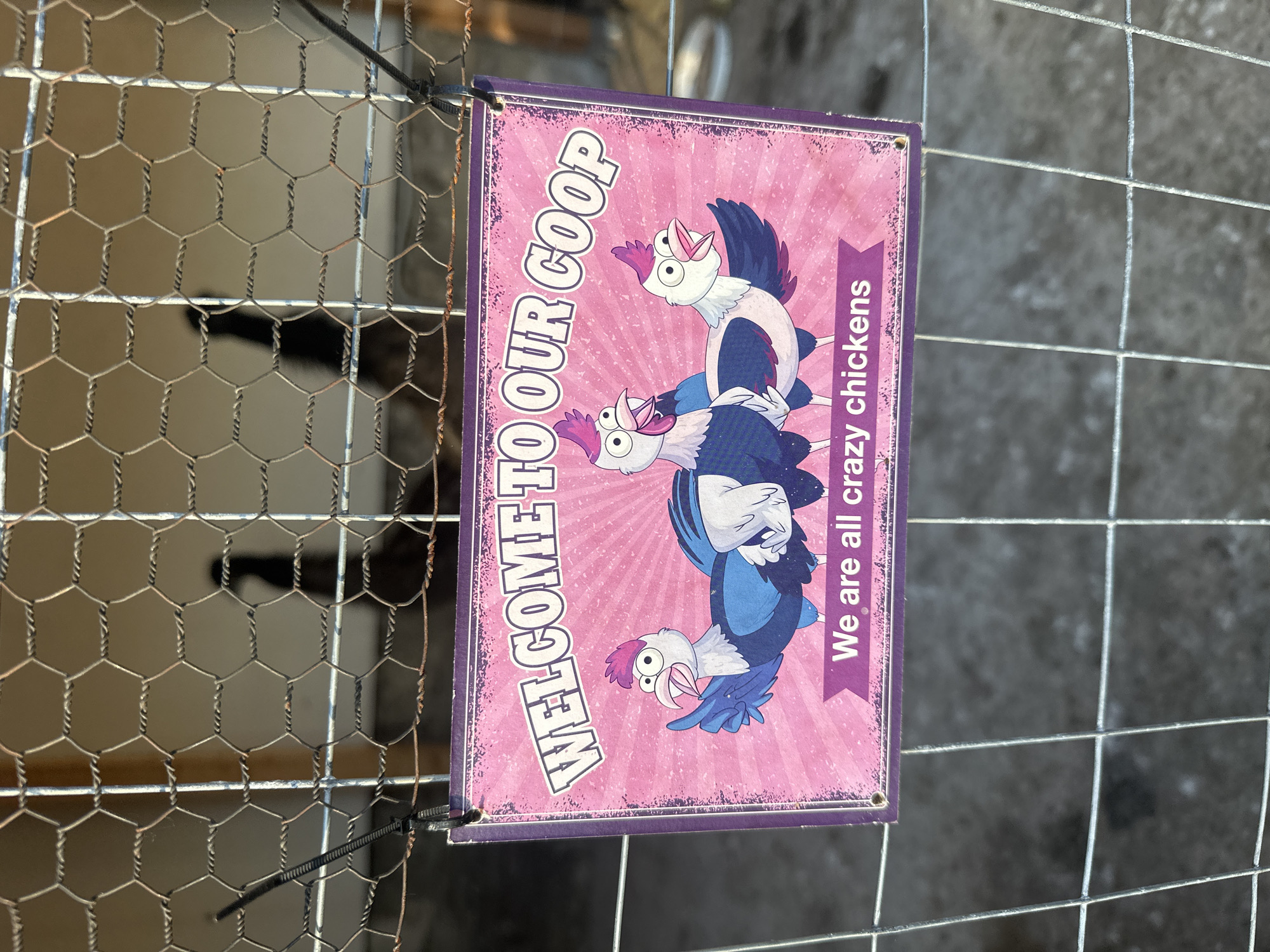 The image depicts a sign attached to a wire fence. The sign has a pink background with the words "WELCOME TO OUR COOP" in white lettering rotated 90 degrees to the right. There are cartoon illustrations of chickens stacked on top of each other. To the right of the chickens, on a purple banner, it reads "We are all crazy chickens". The sign appears to be secured to the fence with cable ties. The fence is made of wire and the background is blurred and unclear. The location is not evident from the image. There is no indication this is in Pliska, Bulgaria.