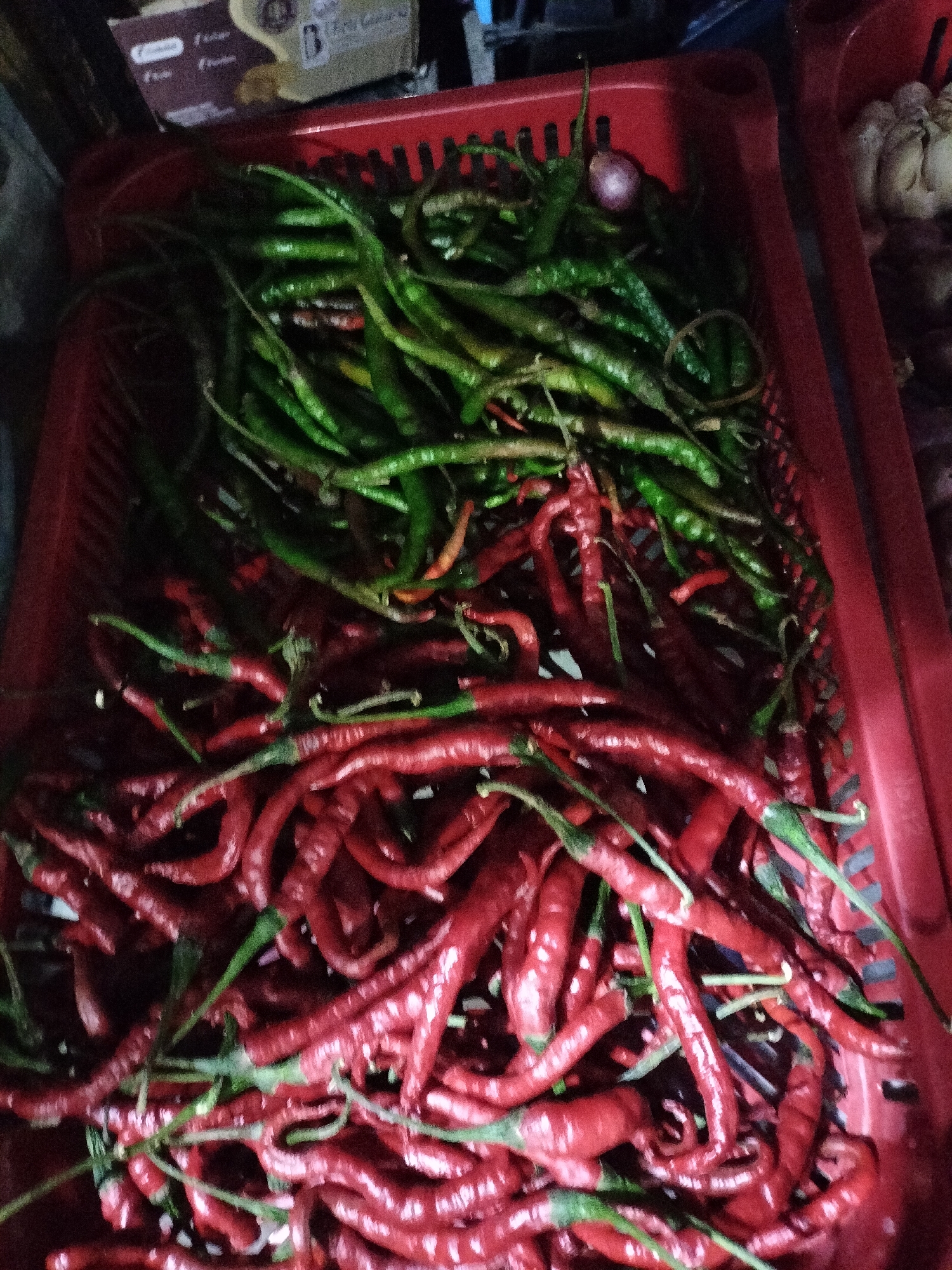 In Rantopanjang, Indonesia, a close-up, high-angle shot captures two red plastic baskets filled with chili peppers. The basket in the foreground is brimming with a large quantity of vibrant red chili peppers, their wavy shapes creating a textured surface. Interspersed among them are a few green chili peppers, their stems still attached, adding a contrasting hue. The basket on the right, partially visible, contains green chili peppers, some appearing slightly wilted. The lighting is dim, with the red peppers reflecting light prominently, giving them a glossy appearance. The background is dark and indistinct, with hints of other items that are out of focus. The scene appears to be a market stall or a home storage area for produce.