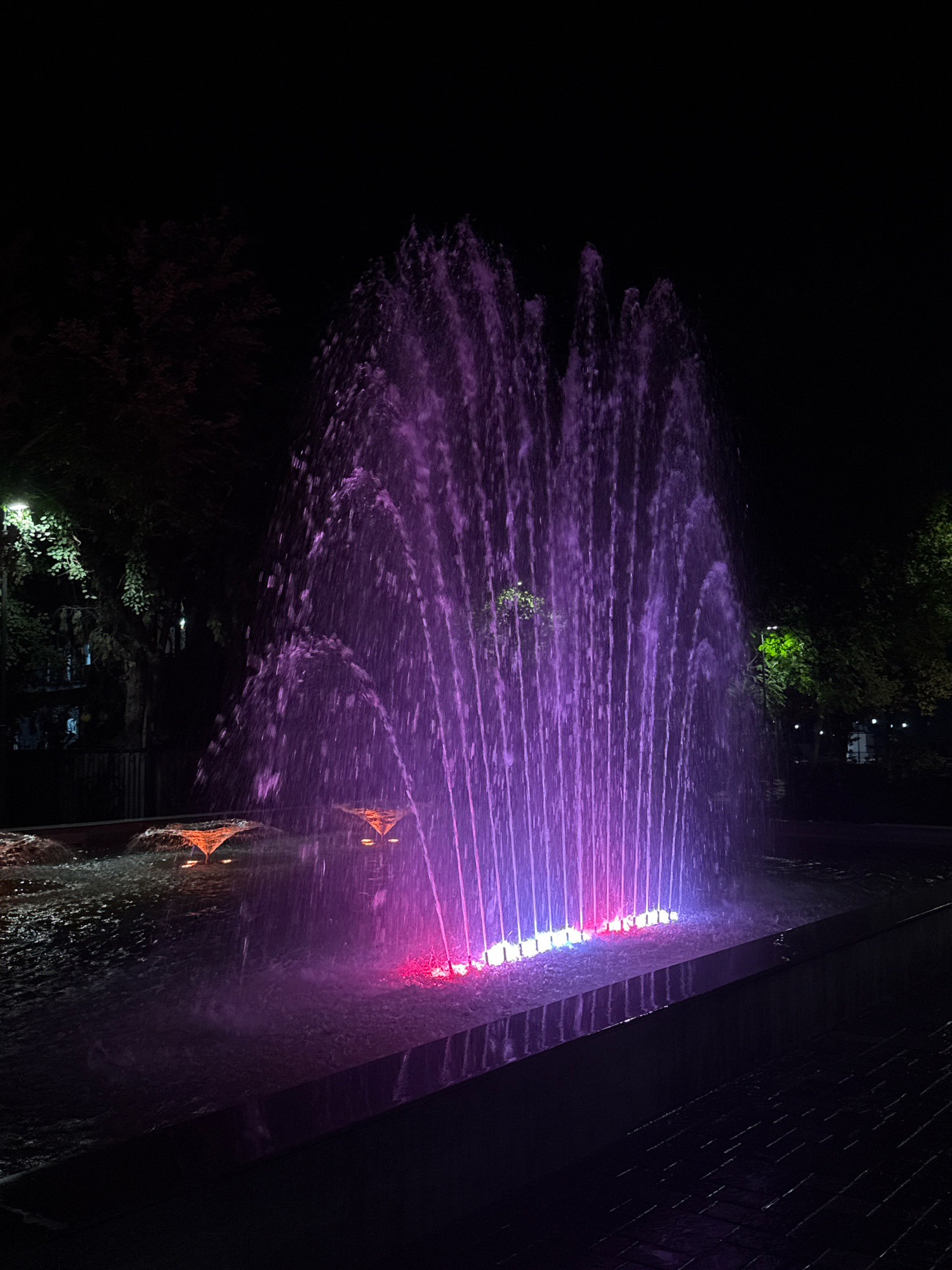 The image depicts an illuminated fountain at night, likely in a park or public space within Bishkek City, Kyrgyzstan. The fountain features a dramatic spray of water, predominantly lit with purple and pink hues from underwater lights. The water streams upwards and outwards, creating a dynamic visual effect against the dark night sky. In the foreground, the water collects in a basin with a dark, smooth edge. Smaller water features with orange lighting are visible in the left portion of the basin. Trees, dimly lit by nearby streetlights, frame the fountain on the left and right, suggesting a natural or landscaped environment. The ground surrounding the fountain appears to be paved with dark tiles. The scene is devoid of any people, focusing solely on the interplay of light and water.