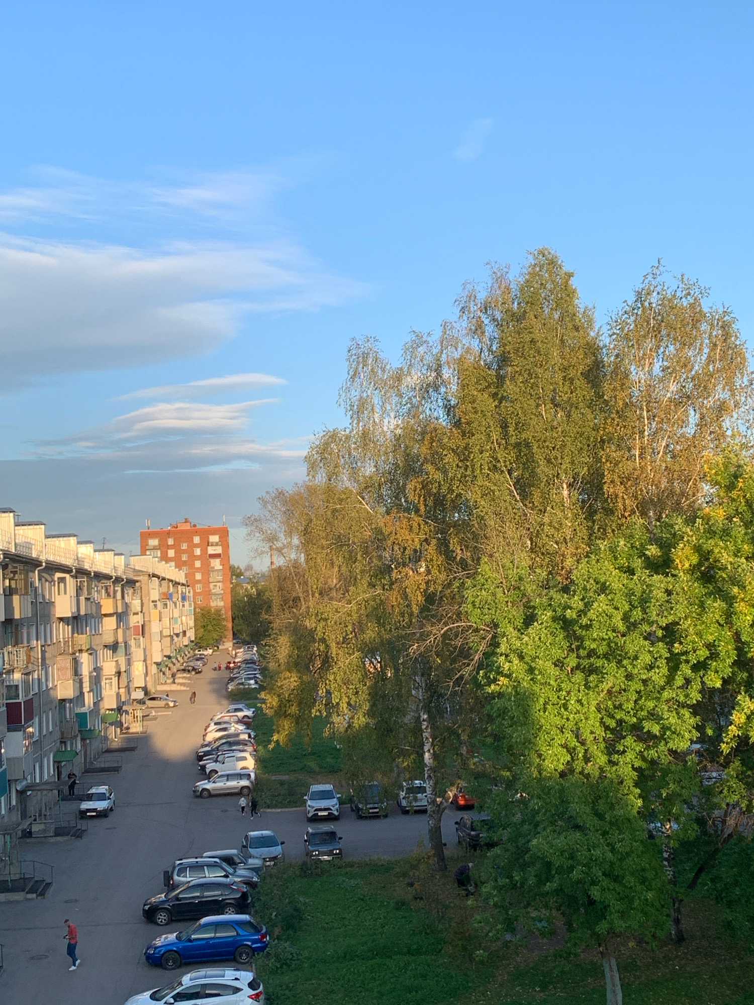 This image depicts a view of a residential area in Prokopyevsk, Russia. In the foreground, a line of apartment buildings with balconies runs along the left side of the frame. A street is visible between the buildings and a row of parked cars. Several trees, some with green and yellowing leaves, are situated on the right side of the image, casting shadows. A tall, orange brick building stands further down the street. The sky is blue with some wispy clouds, indicating it is likely daytime. A few individuals are present in the scene, including people walking on the sidewalk and near the cars. The overall impression is of an ordinary urban environment on a clear day.