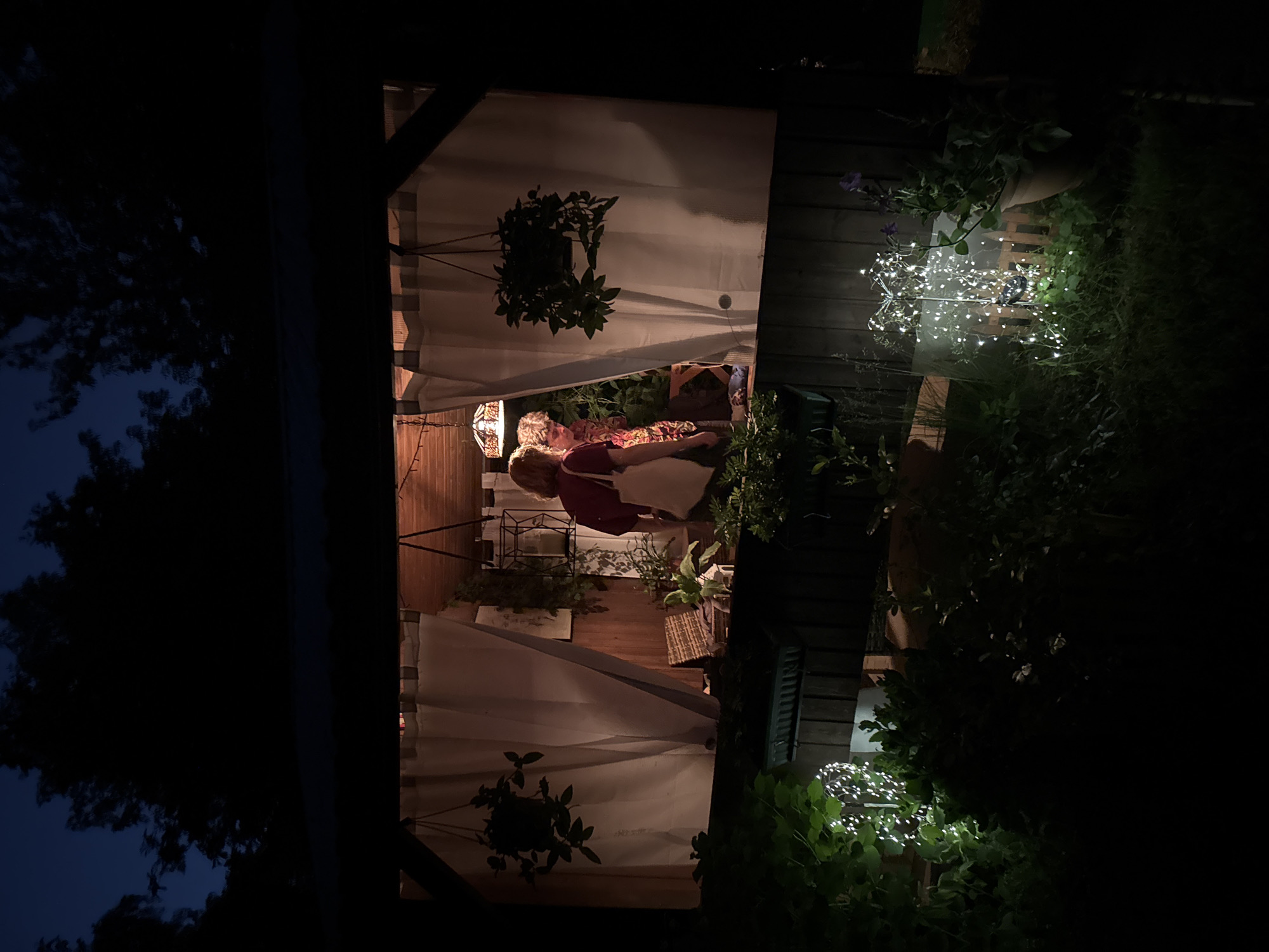 This image captures a scene at dusk or night. Two individuals are visible inside a structure, possibly a covered patio or porch, illuminated by interior lighting and a hanging lamp. One person, wearing a dark top and a white tote bag, stands with their back to the camera, facing the other person who is wearing a colorful patterned garment and appears to be leaning forward, possibly in conversation or examining something. White curtains hang in the background, and plants are suspended from the ceiling. Outside the structure, the foreground is dark and features lush green foliage. String lights are visible, some clustered around plants and others forming decorative shapes, casting a soft glow on the greenery. The sky above is a deep, dark blue, suggesting the late hour. There is no information within the image to suggest this location is in Moscow, Russia.