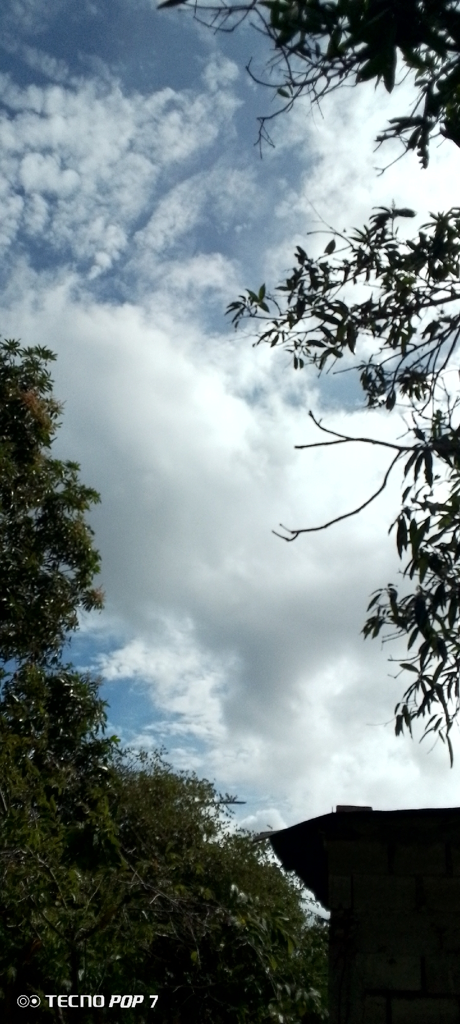 The image shows a view looking up at the sky in Altagracia, Venezuela. The sky is partly cloudy with patches of blue visible between the white clouds. Branches and leaves from trees frame the scene on both the left and right sides. In the lower right, a section of a building roof is visible, obscured by shadows. The camera used was a TECNO POP 7.