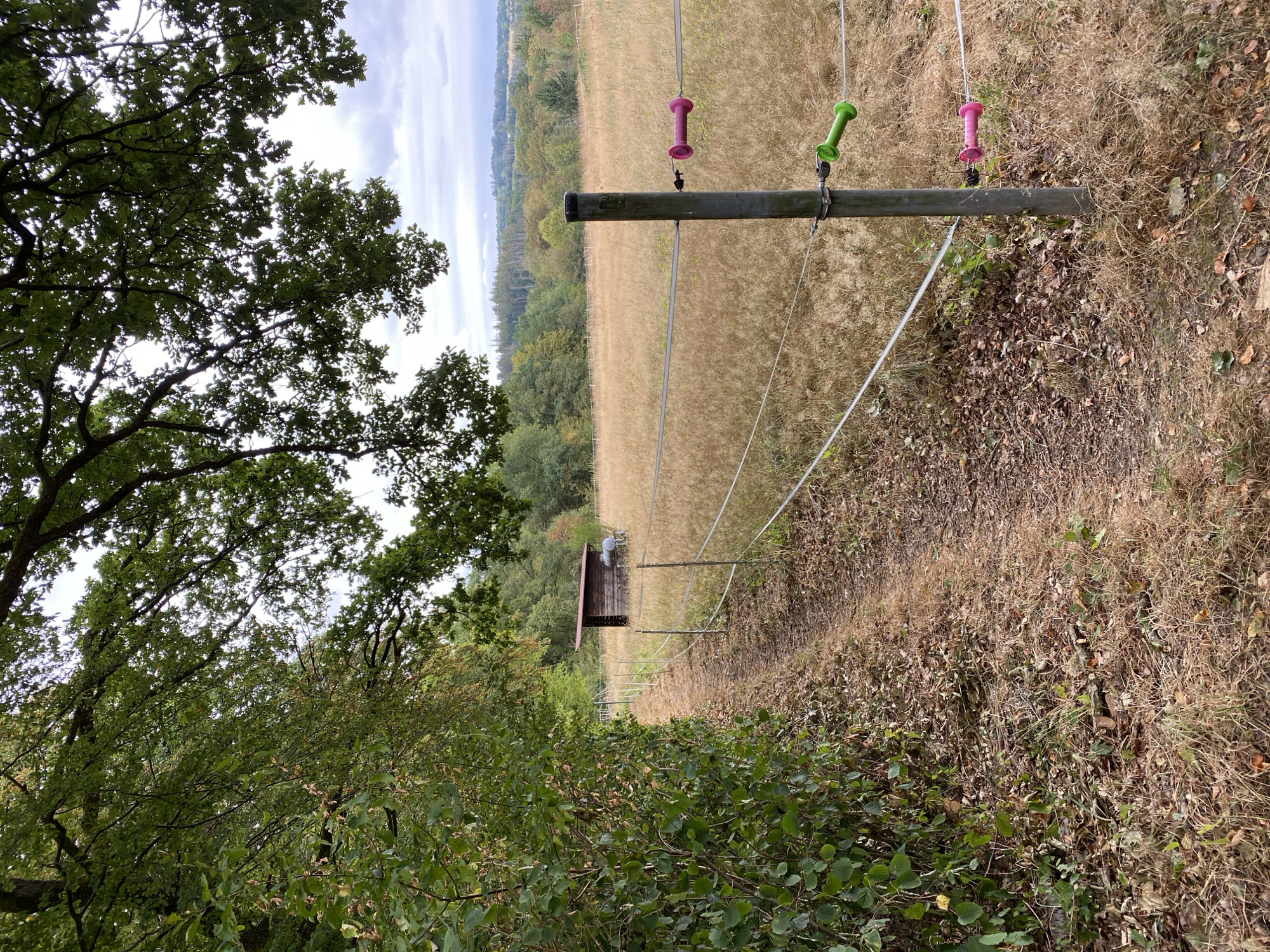 The image depicts a dirt path winding through a natural landscape. To the left, dense green foliage lines the path, while to the right, a wire fence encloses a field of dry, golden grass. In the distance, a small wooden shed with a red roof is visible, and beyond that, a rolling landscape of trees and hills stretches under a cloudy sky. The scene appears to be a rural or semi-rural setting, possibly a park or agricultural land. The image does not contain any people or visible interactions. The overall impression is one of a quiet, natural environment. Without further information or context, it is not possible to definitively determine the specific location within Altenkirchen, Germany, as the visual elements are generic to many rural landscapes.