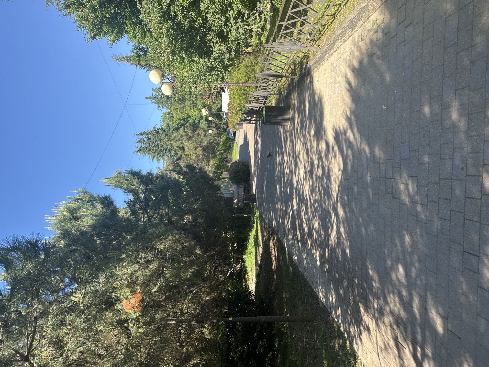 The vertical image depicts a sunlit outdoor scene, likely a park or pedestrian pathway, under a clear blue sky. A paved path, constructed from grey interlocking blocks, stretches diagonally from the bottom right towards the upper left, receding into the distance.
Lush green trees and dense foliage border both sides of the pathway. On the left, various tree types, including conifers, are prominent, with an orange-colored object partially visible within the foliage of one tree. Several streetlights, featuring white, spherical globes on dark poles, are interspersed among these trees. On the right side of the path, a dark, decorative metal fence runs along its length, separating the pavement from a grassy area and more greenery.
Bright sunlight casts strong, dappled shadows of tree leaves across the paved surface, indicating a clear, sunny day. The upper left portion of the image shows the unblemished blue sky, crossed by thin overhead wires. Further along the path, benches and a dark trash bin are visible, and a dark car is partially obscured by trees in the background. A small, dark bird is perched on the paved surface near the right side. There are no people visible, and no specific activity is taking place, creating a tranquil atmosphere. No text is visible in the image.