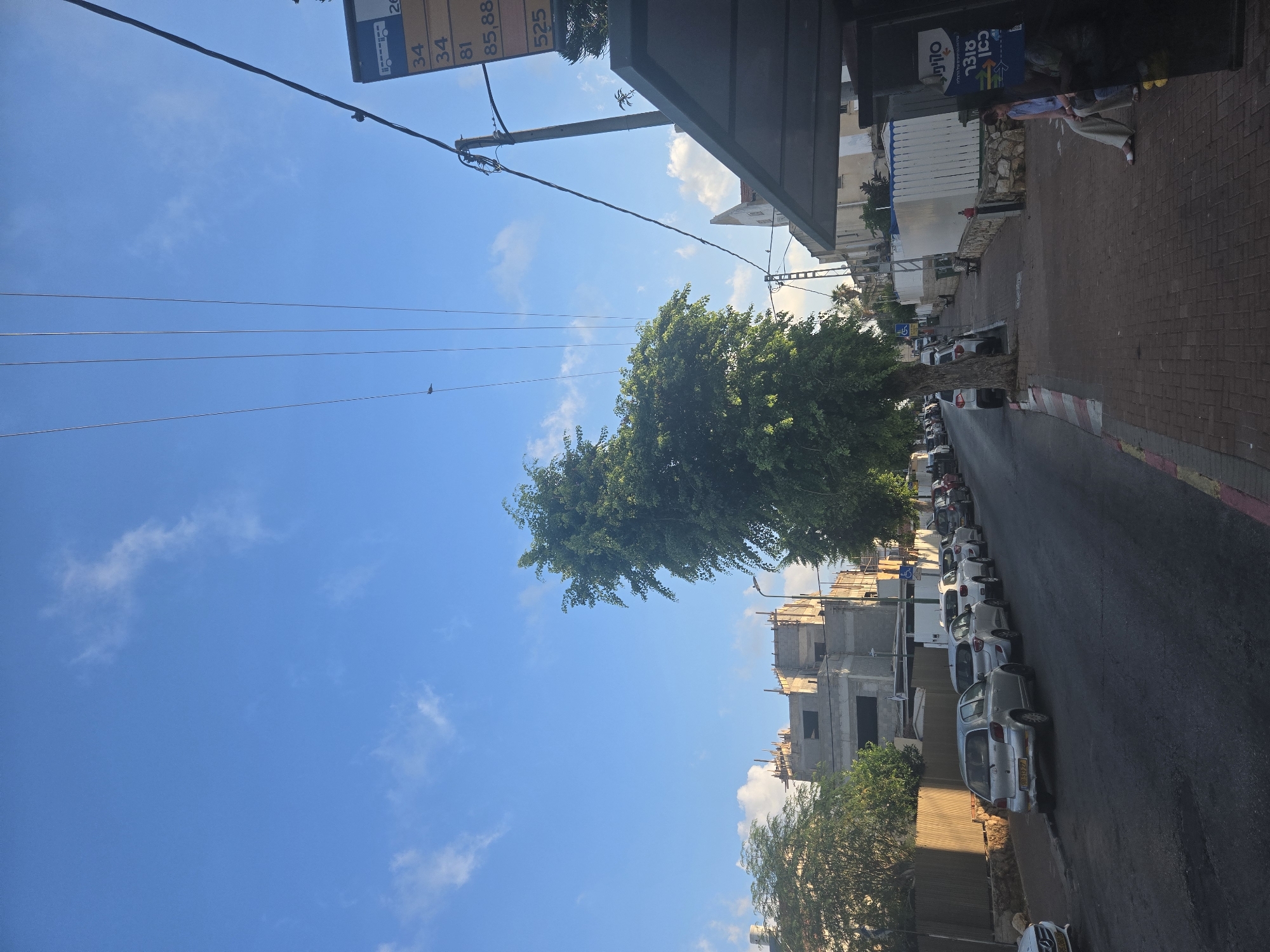 The image shows a street scene in Herzliya, Israel, likely during the day. A tree stands prominently in the middle of the frame, its foliage casting shadows on the asphalt road. Several cars are parked along the side of the street, with buildings visible in the background. A bus stop shelter is present on the right side of the image, with at least two individuals seated within it. A bus schedule sign with Hebrew text is attached to a pole near the bus stop. Power lines crisscross the sky. The sky is blue with scattered clouds.