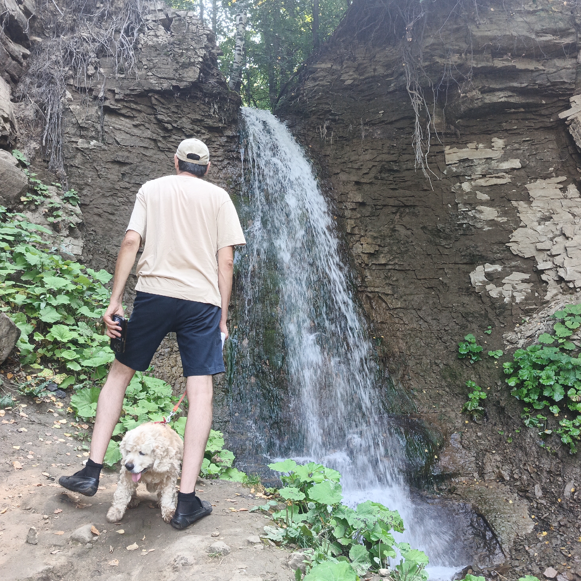 In Burangulovo, Russia, a person stands with their back to the camera, facing a waterfall cascading down a rocky cliff. The individual, wearing a tan t-shirt, dark shorts, a baseball cap, and black shoes with black socks, holds a black device in their right hand and a white paper in their left. Beside them, a light-colored, curly-haired dog on a leash looks towards the ground. The surroundings are natural, with lush green plants growing on the left and in front of the waterfall, and the rocky terrain suggesting a rugged environment. The trees visible at the top indicate a forested area above the cliff.