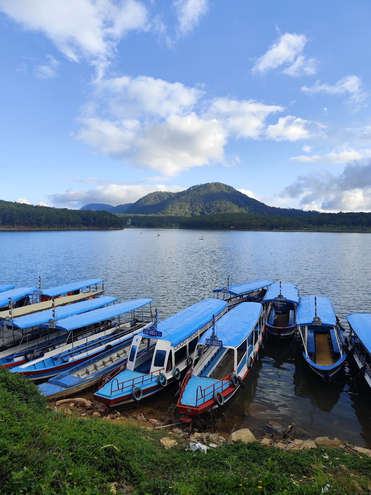 The image depicts a scene at Tuyen Lam Lake in Da Lat, Vietnam. Several blue and white passenger boats are docked along the shoreline. The lake's water is slightly rippled, reflecting the sky. In the background, a large, forested mountain rises above the water. The sky is blue with scattered white clouds. Lush green vegetation grows along the edge of the lake where the boats are moored. There are no people clearly visible.