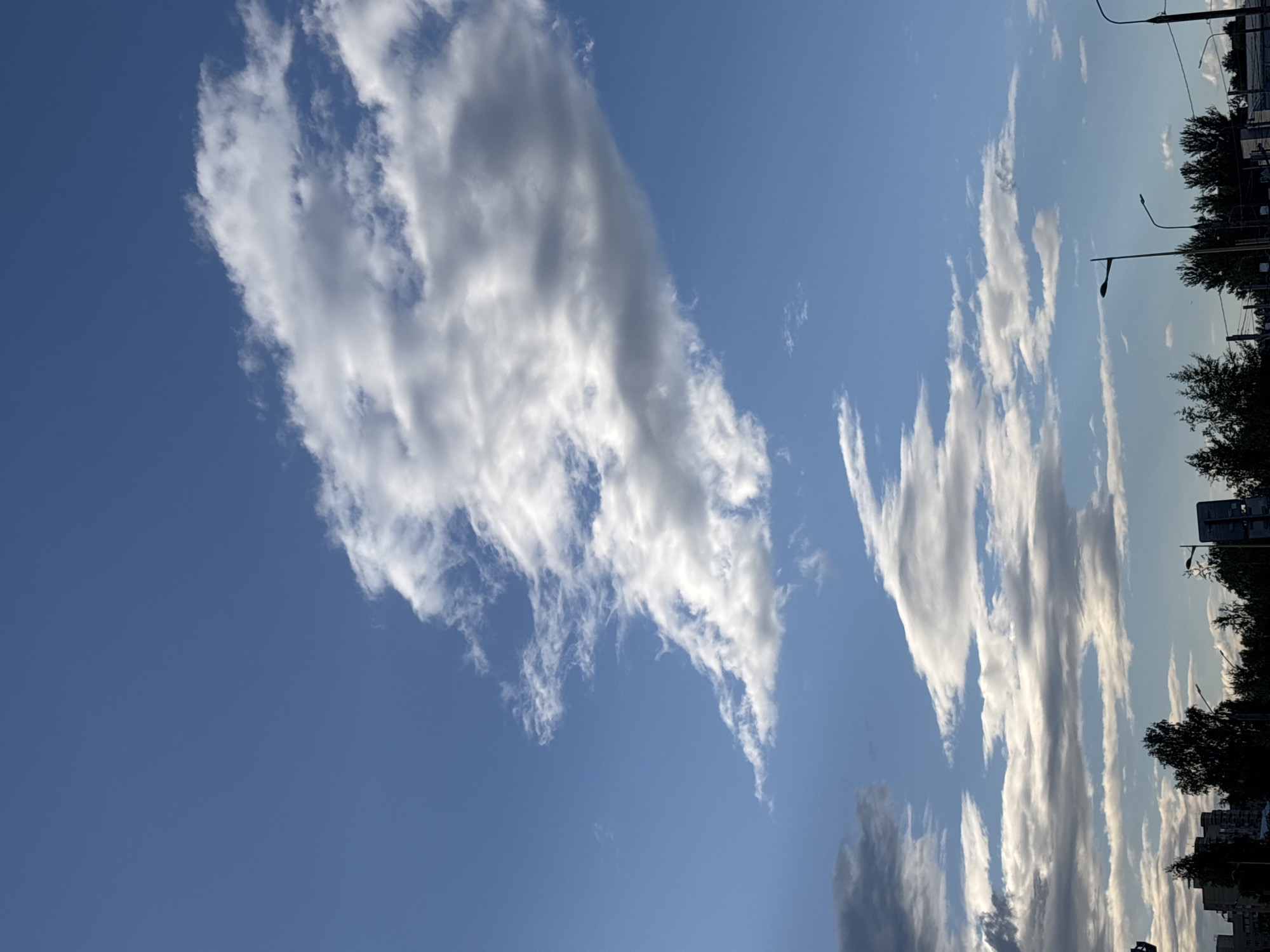 This is a vertical, eye-level, outdoor, daytime, full-shot photograph of a bright blue sky with scattered white and gray clouds. The clouds are of varying densities, with some appearing fluffy and others more wispy. In the lower portion of the image, a silhouetted line of trees, streetlights, and buildings forms the horizon. The scene is an urban or suburban landscape. The location is identified as Шебунино, Russia.