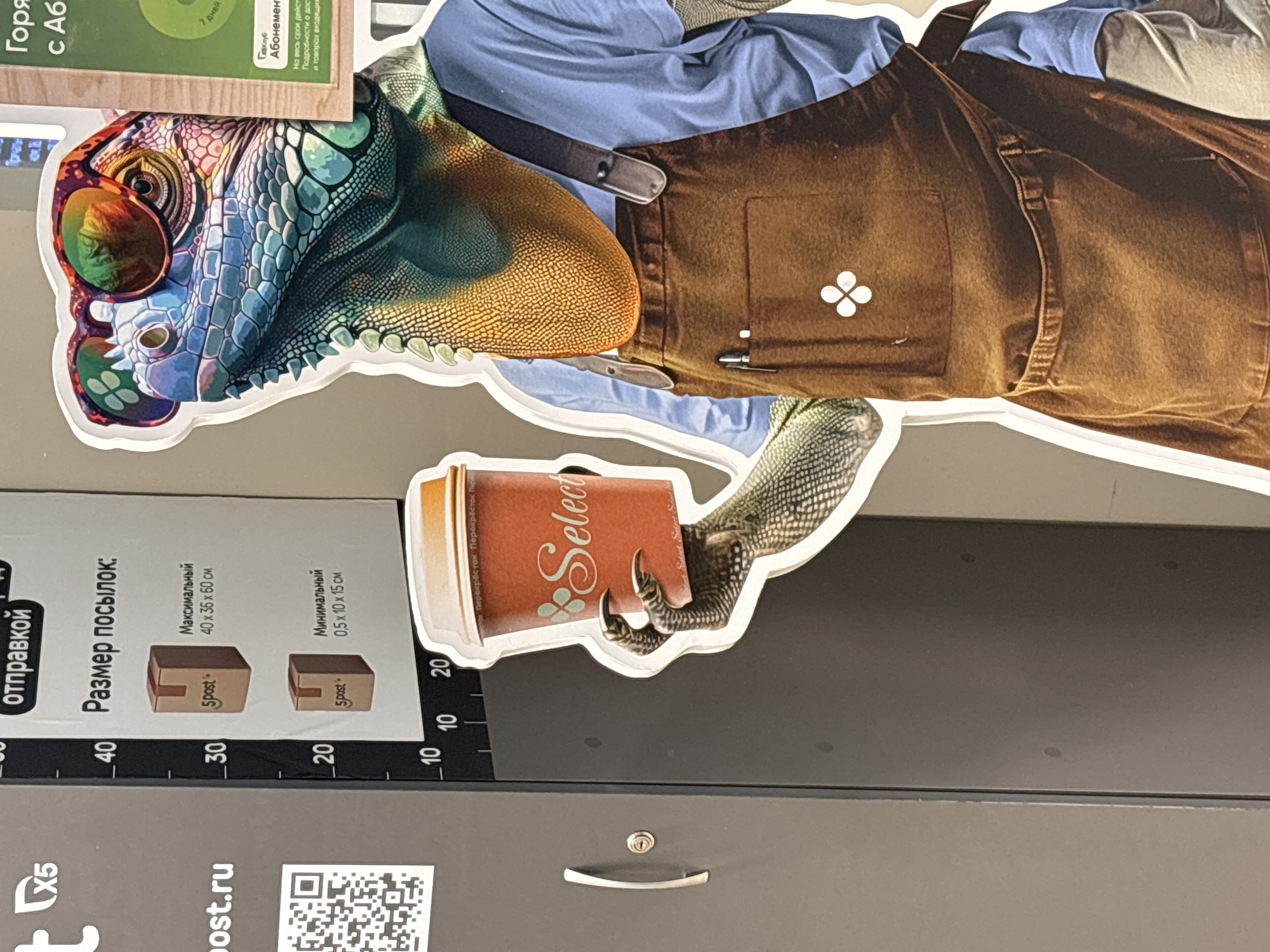 The image depicts a sticker or promotional graphic on a gray surface, possibly a vending machine or kiosk. The graphic features a lizard wearing sunglasses and a brown apron, holding a cup that says "Select." Text elements include "Размер посылок" (Package Size) with box dimensions, "отправкой" (Shipping), "post.ru" and Russian text related to "Абонемент" (Subscription). The location is likely Saint Petersburg, Russia, given the presence of Cyrillic text and the mention of "Перекресток" (Perekrestok), a Russian supermarket chain.