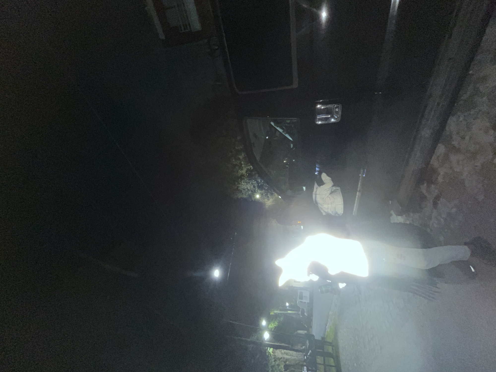 The photograph appears to be taken at night in what may be Olivos, Argentina, though this is not conclusively confirmed in the image. A person stands on a paved surface, possibly a sidewalk or road, illuminated by a bright light source that obscures their features. The upper part of a dark-colored vehicle, possibly a car or truck, is visible above and to the side of the person. In the background, streetlights are spaced along a street or walkway lined with greenery, likely trees or shrubs. A brick wall is visible on the right side of the image. The photograph is somewhat blurry, and significant portions are shrouded in darkness.