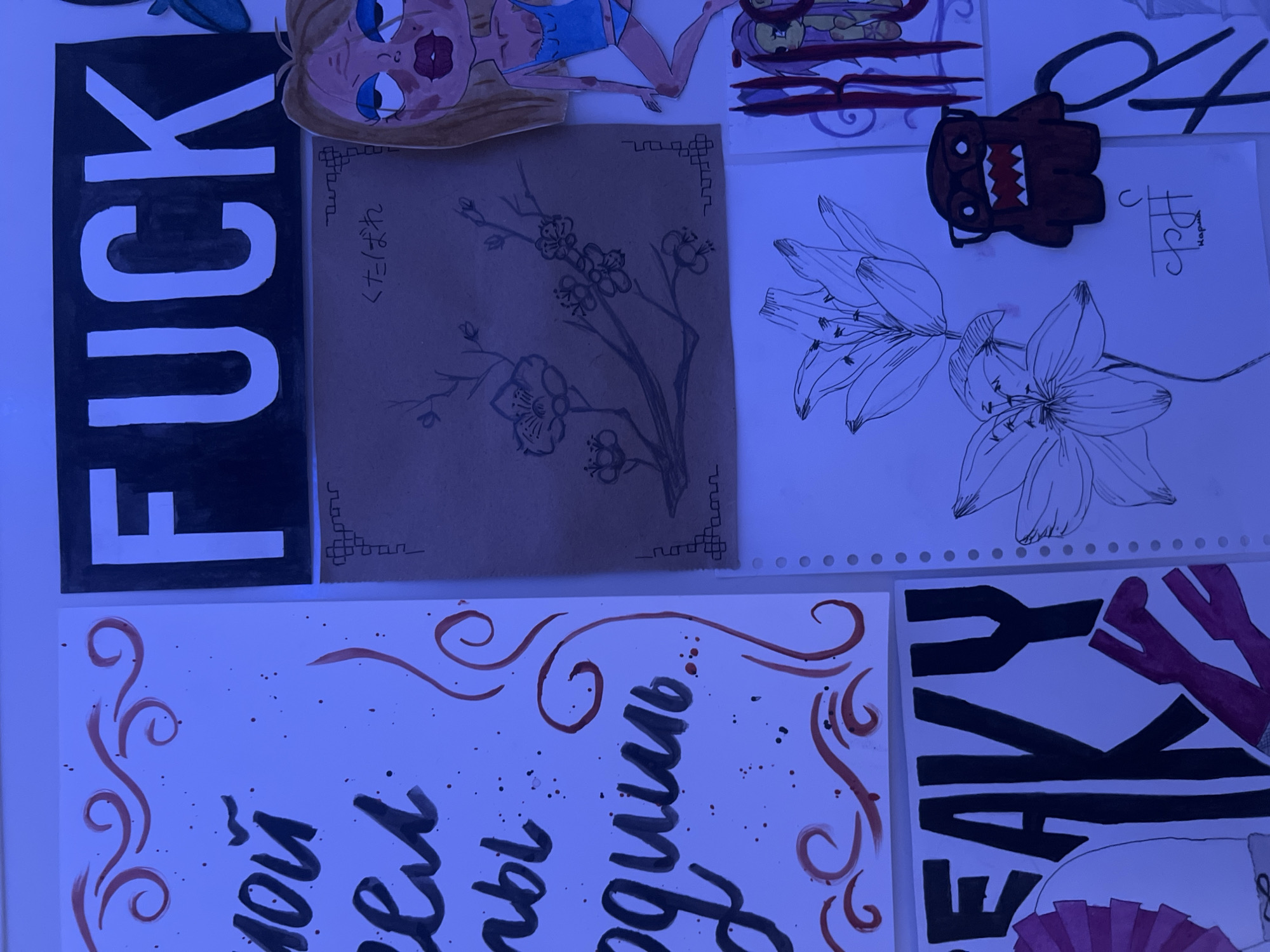 The image displays a collection of various artworks and papers laid out on a flat, light-colored surface, possibly a desk or floor, under strong blue artificial lighting. The scene is located in Saint Petersburg, Russia.
Dominating the left side is a black rectangular paper with the word "FUCK" written vertically in large, bold white capital letters. Adjacent to it, on a brown paper, is a delicate line drawing of a flowering branch, resembling cherry blossoms, with ornate corner borders. Above this drawing, in Japanese script, are the characters "くたばれ" (kutabare), meaning "Go to hell" or "Drop dead." A cartoon-style drawing of a woman's head and part of her torso is visible at the top, partly obscuring another drawing.
To the right, a white paper features a detailed black line drawing of two lilies. Placed above this, and slightly to the left, is a cut-out, brown, cartoonish character with large white eyes and a jagged red-and-white mouth, resembling Domo-kun. A smaller, handwritten word "Марки" (Marki, meaning 'Stamps' or 'Brands') in Cyrillic is visible next to it.
At the bottom left, a white paper exhibits decorative calligraphy in Russian. Partially visible words include "мой" (my), "любовь" (love), and "одинъ" (an archaic spelling of "one"). This paper also has swirling red decorative elements and black speckles. To its right, another white paper shows large, bold black capital letters spelling "FAKY". A small part of another artwork, possibly a fan or clothing detail, is visible at the very bottom right. The overall impression is a personal artistic display or mood board.