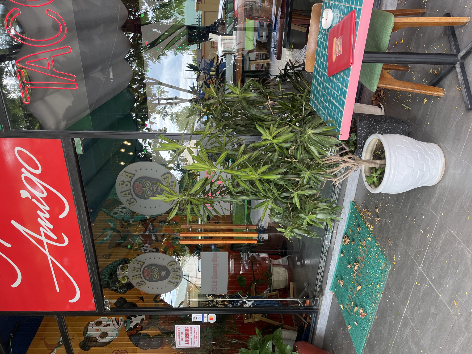 This image depicts the exterior of a restaurant named "Amigo" located at 75 Lê Quang Đạo, Mỹ An Ward, Ngũ Hành Sơn District, Đà Nẵng City, Vietnam. The building features a large red sign above its glass entrance doors, displaying "Amigo" in white script. To the right, a red neon sign partially spells "TACO".
The double glass doors reflect the exterior environment, including trees, the sky, and objects beyond the street. Affixed to the glass are two circular decals, each depicting a stylized masked wrestler (Luchador) and the text "CASA LOCO". Through the glass, colorful wall murals depicting figures, possibly in a Day of the Dead style, and some interior furnishings are visible. A white rectangular sign inside the doorway confirms the address "75 Lê Quang Đạo". Another smaller white sign provides business registration details for "L & W ENTERPRISES" at the specified address.
On the grey tiled sidewalk in front of the entrance, a green welcome mat is present, covered with numerous fallen yellow petals and dried leaves. Several potted plants are arranged around the entrance. A prominent plant with long, variegated green leaves stands in a white, textured pot to the right of the doorway. Another dark pot with similar foliage is behind it.
To the right of the entrance, an outdoor seating area features a table with a teal tiled top and pink trim, supported by a black metal base. A red menu book and a white ashtray are placed on the table. A wooden chair with a green upholstered seat faces the viewer, and another wooden chair is partially visible behind the table. The ground around the table also shows scattered yellow petals and leaves.