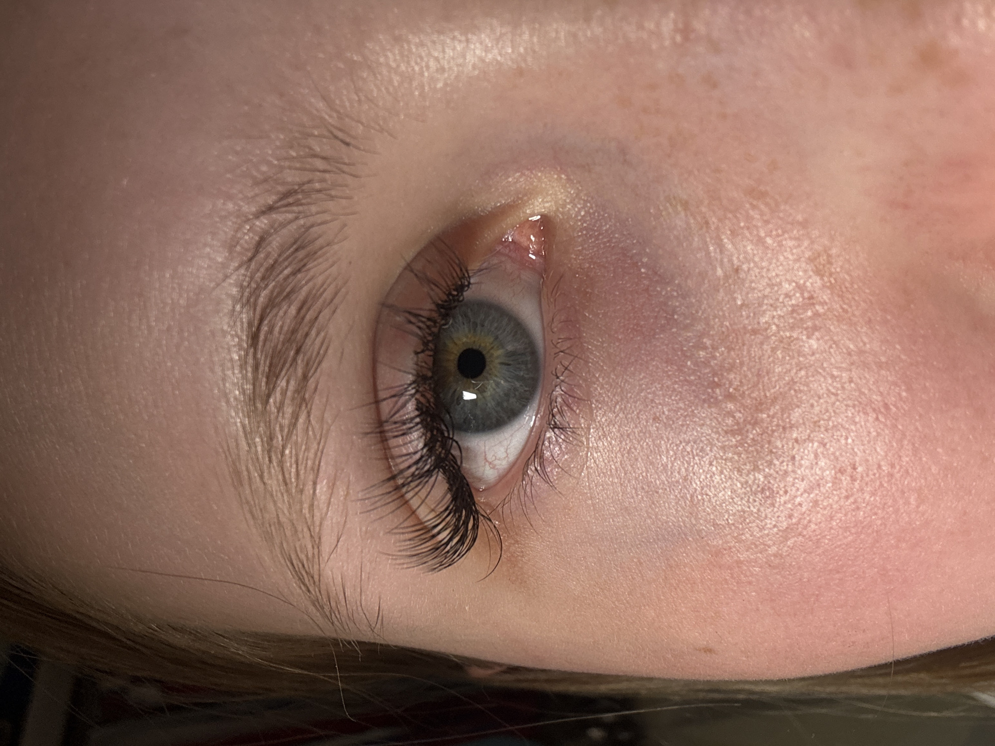 An extreme close-up of a right human eye with light blue iris and hazel-colored center. The eye is partially open, revealing both upper and lower eyelids. The eyelashes on the lower lid are sparse and natural. The eyelashes on the upper lid appear to have artificial extensions applied. The eyebrow is lightly colored and appears to have a sparse distribution of hairs. The skin is pale and shows a slightly glossy texture, possibly due to lighting or natural skin condition. No information indicates the location in the city of Chaikovsky, Russia.
