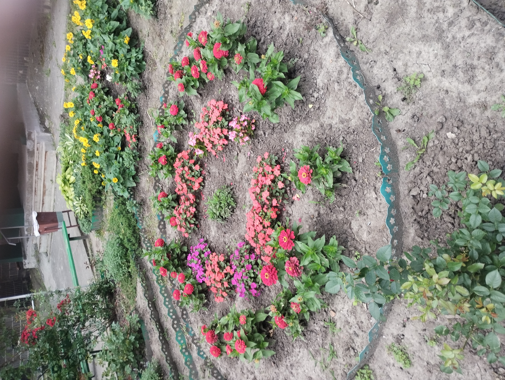 The image depicts a circular flower bed in an outdoor urban setting, likely a park or public space in Sumy, Ukraine. The flower bed is bordered by a decorative green scalloped fence. Inside the bed, various flowering plants are arranged in concentric circles and clusters. Prominent are red and pink flowers, possibly zinnias, and smaller pink and purple flowers, possibly impatiens. Some greenery is also present, including bushes and smaller plants. The ground surrounding the flower bed appears to be unpaved, consisting of dirt and some scattered weeds. In the background, there is a green park bench, a trash can, and stairs leading up to a building. The overall scene suggests a well-maintained public area with a focus on floral landscaping. There are no people visible in the image.
