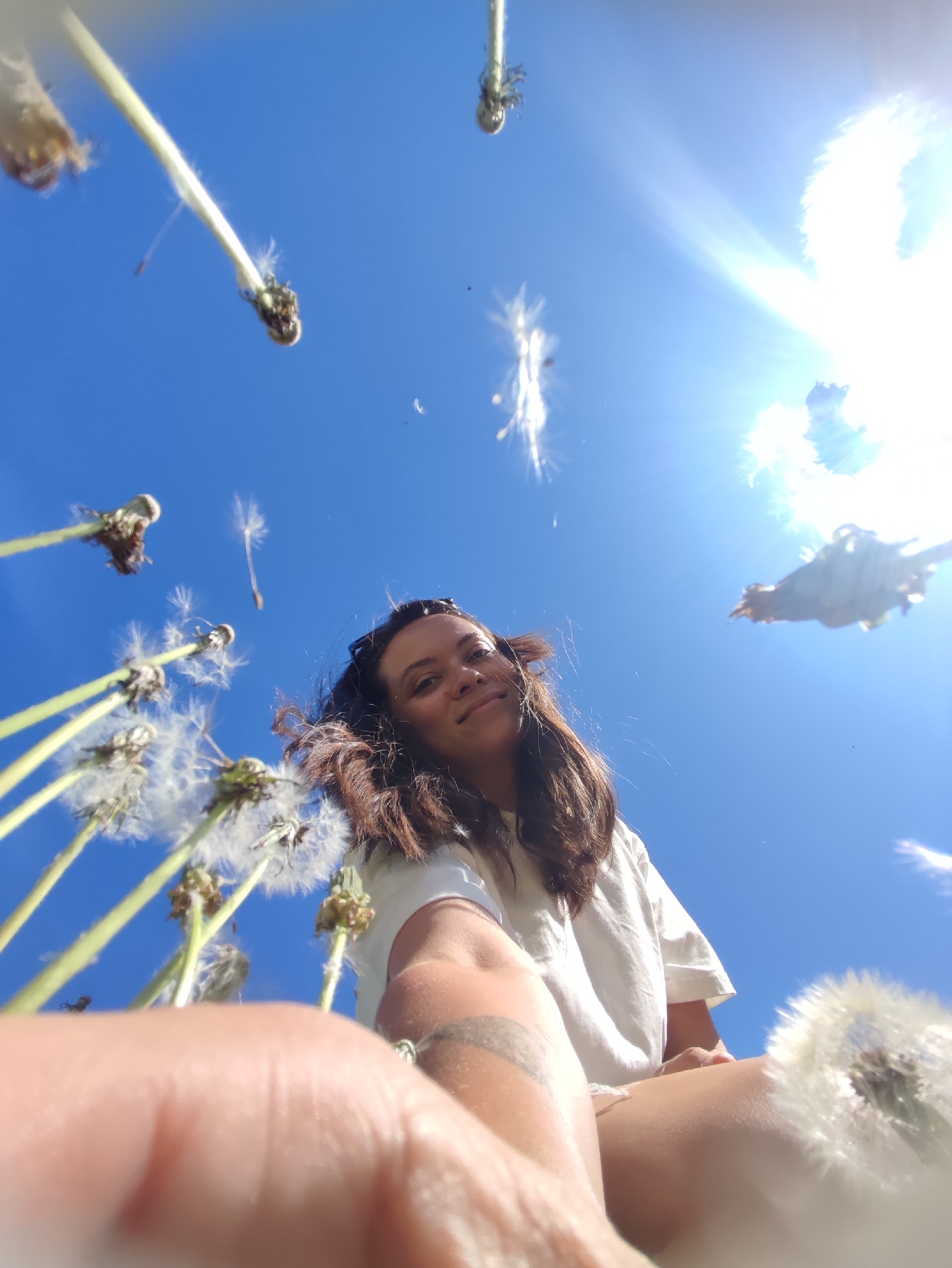 A woman with dark hair and a white T-shirt is lying in a field of dandelions in Chaikovsky, Russia. The camera angle is looking up at her from the ground. The sky is bright blue, and the sun is shining, creating a glare. Some of the dandelions are fully in seed, and some are bare. The woman's arm is visible in the foreground, with a tattoo. The scene suggests a sunny day and a relaxed atmosphere.