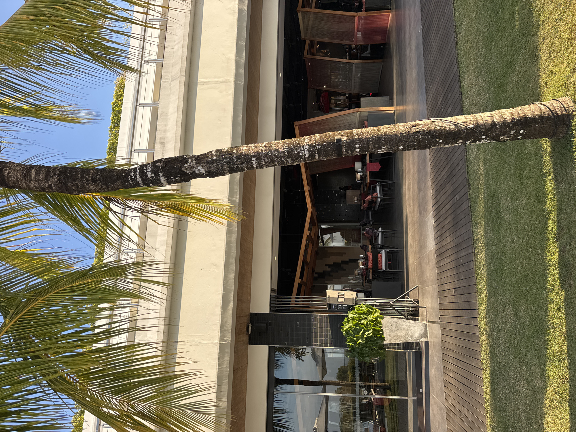 The image depicts the exterior of a modern building with large glass doors and windows, likely a restaurant or commercial establishment, in Kuta Selatan, Indonesia. A prominent palm tree trunk stands in the foreground, partially obscuring the view of the building's entrance and interior. The building features a light-colored facade with wooden accents and a green roof garden visible at the top. The ground in front of the building is a wooden deck, transitioning to a manicured lawn with sunlight casting shadows. Inside the building, tables and chairs are visible, suggesting a dining area. The scene is set against a clear blue sky.