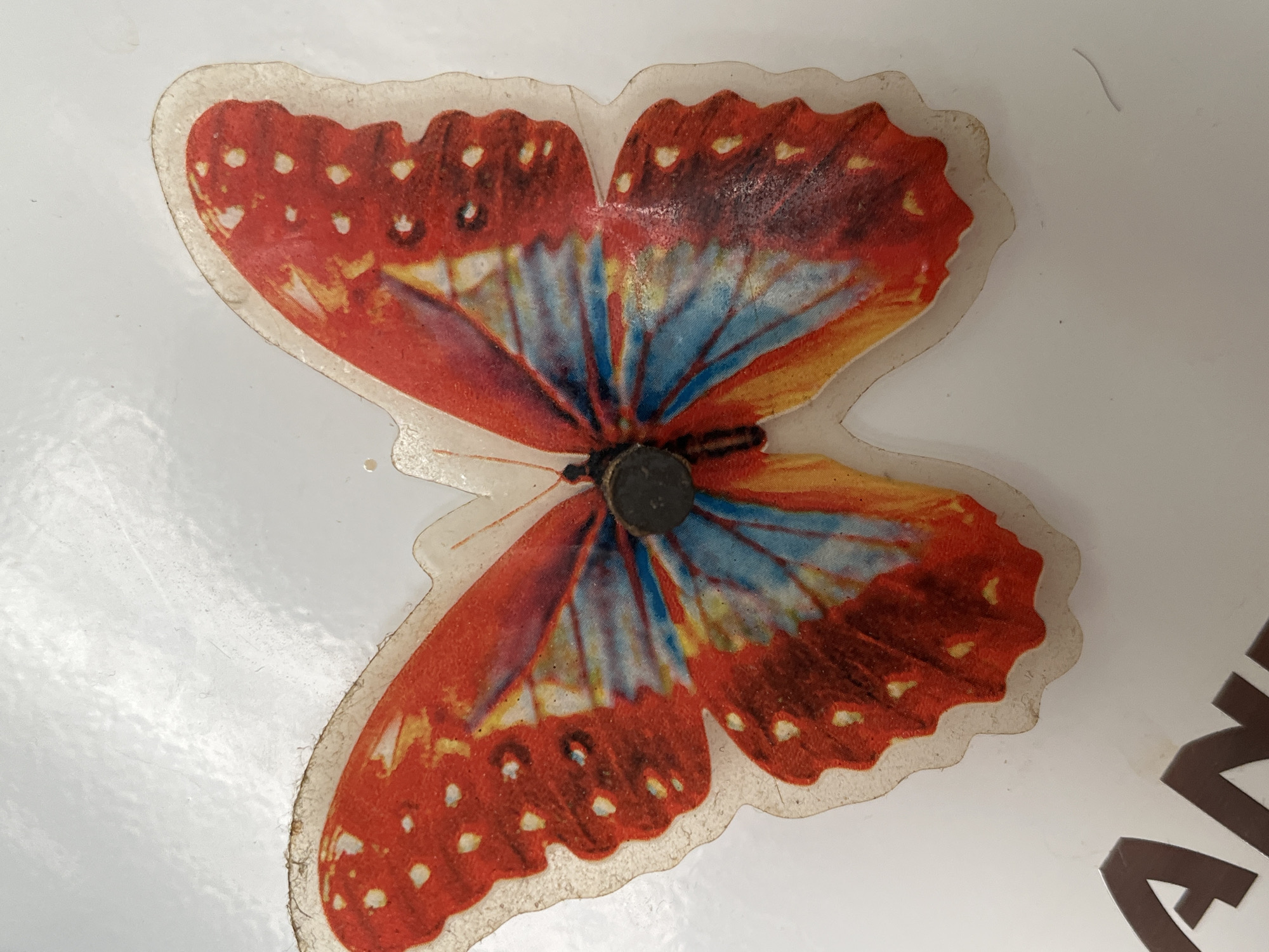 A close-up, overhead shot shows a plastic butterfly sticker with orange, blue, and yellow wings against a white, slightly textured surface. The butterfly has a small black circular object attached to its center, likely for hanging or decoration. Partially visible in the lower-left corner are two large, brown, three-dimensional letters, "A" and "N", which appear to be part of a sign or inscription. The white surface may be a wall or furniture. The scene is indoors and appears to be a domestic or office environment. There is no information to suggest this image was taken in Minsk, Belarus.