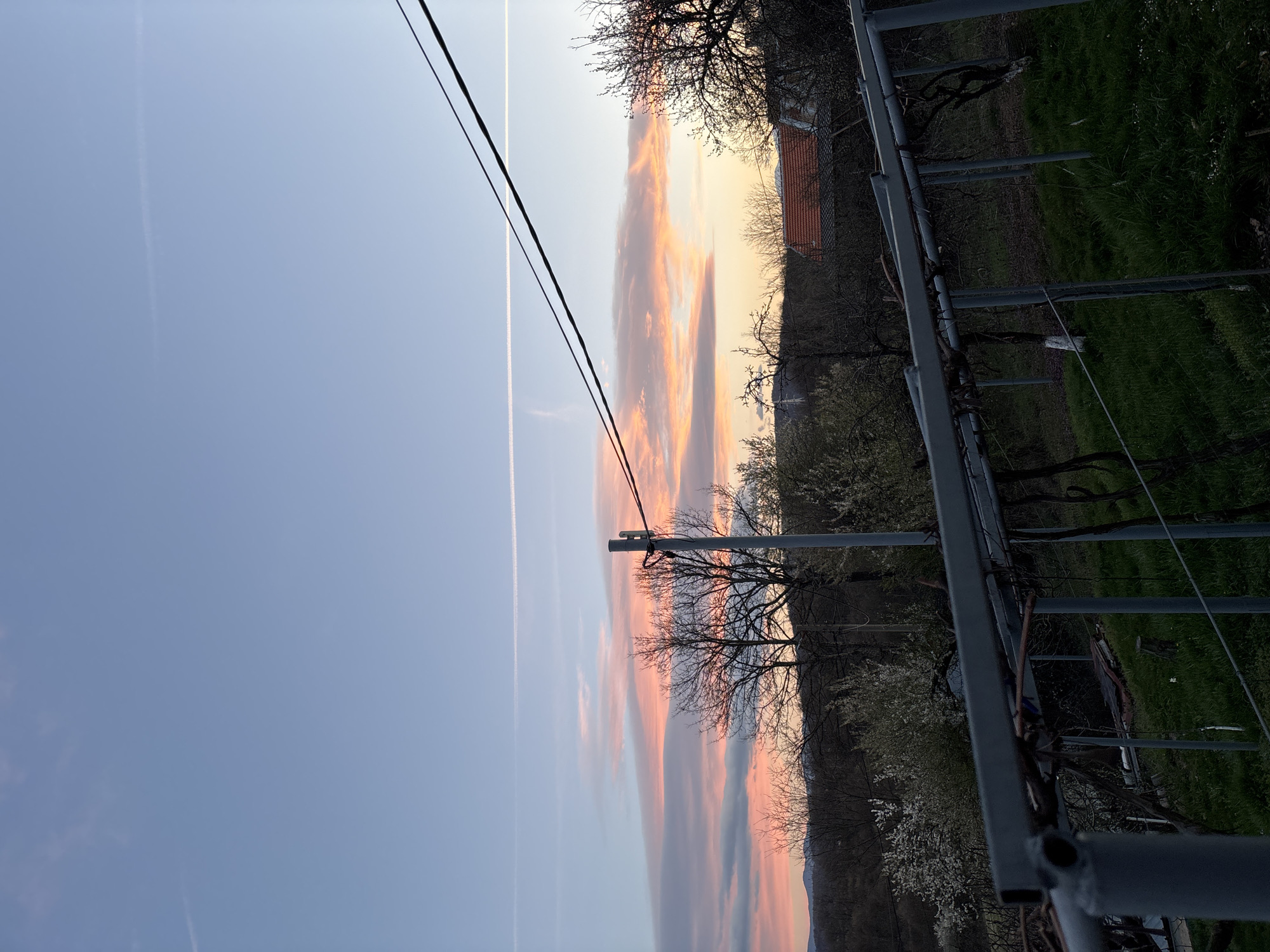 The image shows a landscape at dusk or dawn in Balinovtsi, Bulgaria. The sky is a blend of light blue and pink hues, with linear cloud formations that suggest contrails. Two power lines cut across the upper-left portion of the sky. To the right, a line of bare trees is silhouetted against the colorful sky. A building with a red-tiled roof is partially visible amidst the trees. A metal trellis system typical of vineyards dominates the foreground, along with the beginnings of green growth on the vineyard ground.