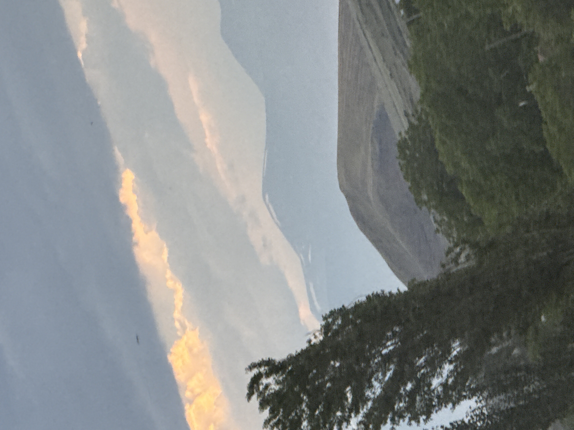 The image captures a serene natural landscape, likely at either sunrise or sunset, given the warm lighting.
**Subjects:** The primary subjects are the sky with clouds, distant mountains or hills, and foreground trees.
**Scene/Setting:** The scene depicts an expansive outdoor vista. On the left side of the frame, the sky dominates, filled with long, streaky clouds. Some of these clouds are brilliantly illuminated with golden-orange and yellow hues, suggesting the sun is low on the horizon. The rest of the sky is a lighter blue-gray, transitioning to a deeper gray towards the far left. A tiny, dark, elongated speck, possibly a bird or insect, is visible against the brighter sky in the upper-left quadrant.
In the mid-ground, occupying the central and upper-right portions of the image, are large, indistinct landforms, appearing as mountains or steep hills. They are rendered in muted blue-gray and darker gray tones, their outlines somewhat softened by distance or atmospheric conditions. One prominent, darker ridge or peak is visible towards the upper-right.
The foreground, primarily along the right edge and bottom-right corner, is filled with a dense mass of dark green foliage, likely the canopy of trees or a thick bush line. The individual leaves and branches are not sharply defined, contributing to a textured, organic frame for the distant elements.
**Activity or event taking place:** No specific activity or event is taking place; the scene is a static depiction of a natural environment.
**Notable details:** The most striking detail is the contrast between the vibrant, warm-toned clouds and the cooler, muted tones of the sky, mountains, and trees. The soft, hazy quality of the distant landforms adds to the atmospheric depth. The image evokes a sense of calm and the beauty of natural light at dawn or dusk.
**Visible text:** There is no visible text in the image.
