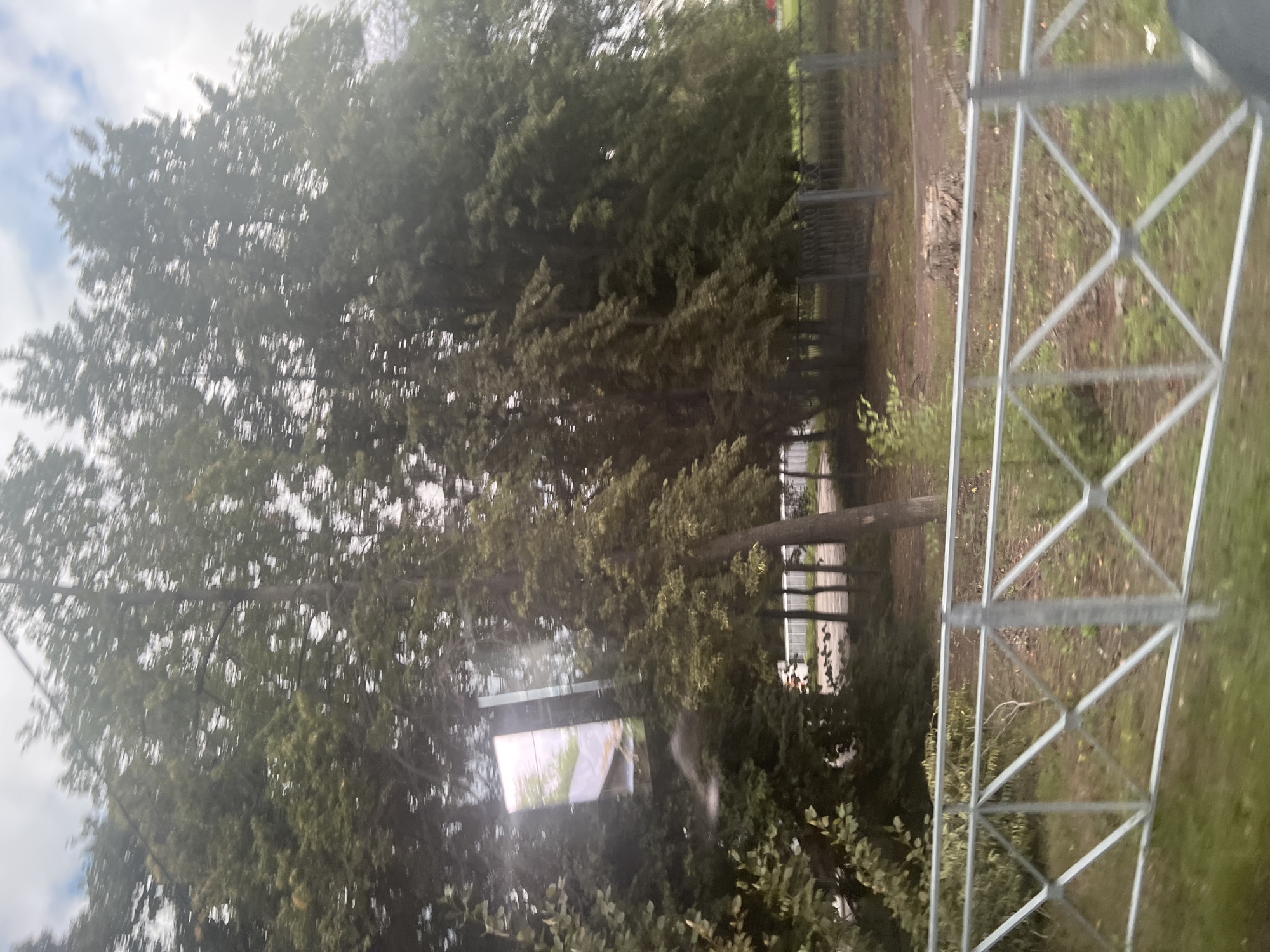 The image depicts a view through a window, likely from a moving vehicle, in Ulyanovsk, Russia. In the foreground, a silver metal fence with a diamond pattern is visible, separating the viewer from the background. Beyond the fence, a patch of ground with sparse grass and fallen leaves is seen, along with a tree stump. Further back, there is a black metal fence and a line of trees with dense green foliage. In the mid-ground, a reflection of a building with a light-colored roof and a rectangular window is visible in what appears to be another window or a mirrored surface. The sky above is partially cloudy. The overall impression is a street scene with greenery and urban elements.