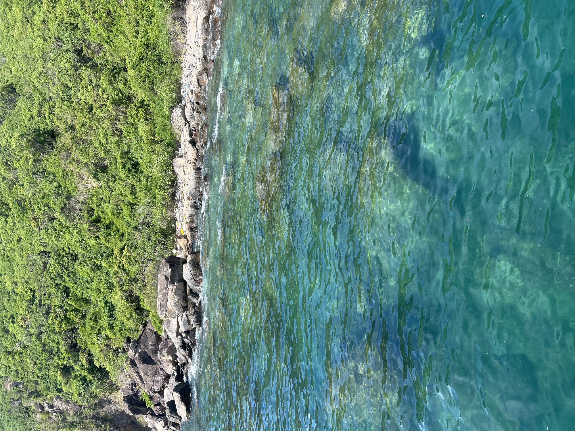 This image depicts a coastal scene in Nha Trang, Vietnam, characterized by a rocky shoreline and clear turquoise waters. The upper portion of the image shows a densely vegetated hillside, covered in lush green trees and shrubs, sloping down towards the sea. Below the vegetation, a rugged coastline is visible, comprising various-sized rocks and boulders, some of which are submerged by the water. The water itself is transparent, allowing the seabed and submerged rocks to be seen. Sunlight creates shimmering patterns on the water's surface, indicating a bright, clear day. A few pieces of plastic debris are scattered along the shoreline among the rocks, suggesting potential environmental pollution. No people or man-made structures, aside from the debris, are present in the immediate vicinity. The overall impression is one of a natural, albeit somewhat unkempt, tropical coastline.